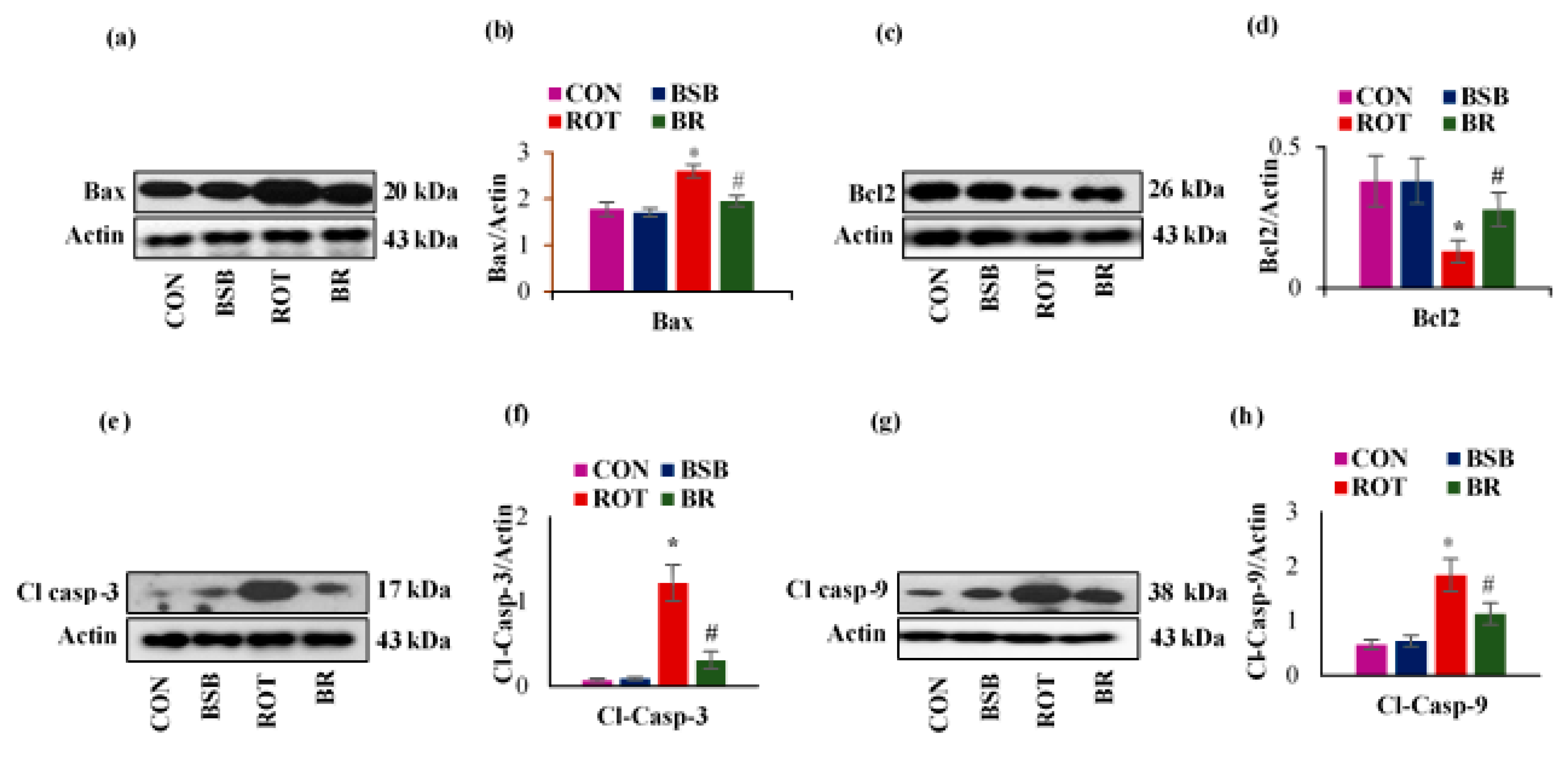 Biomolecules 10 01421 g008
