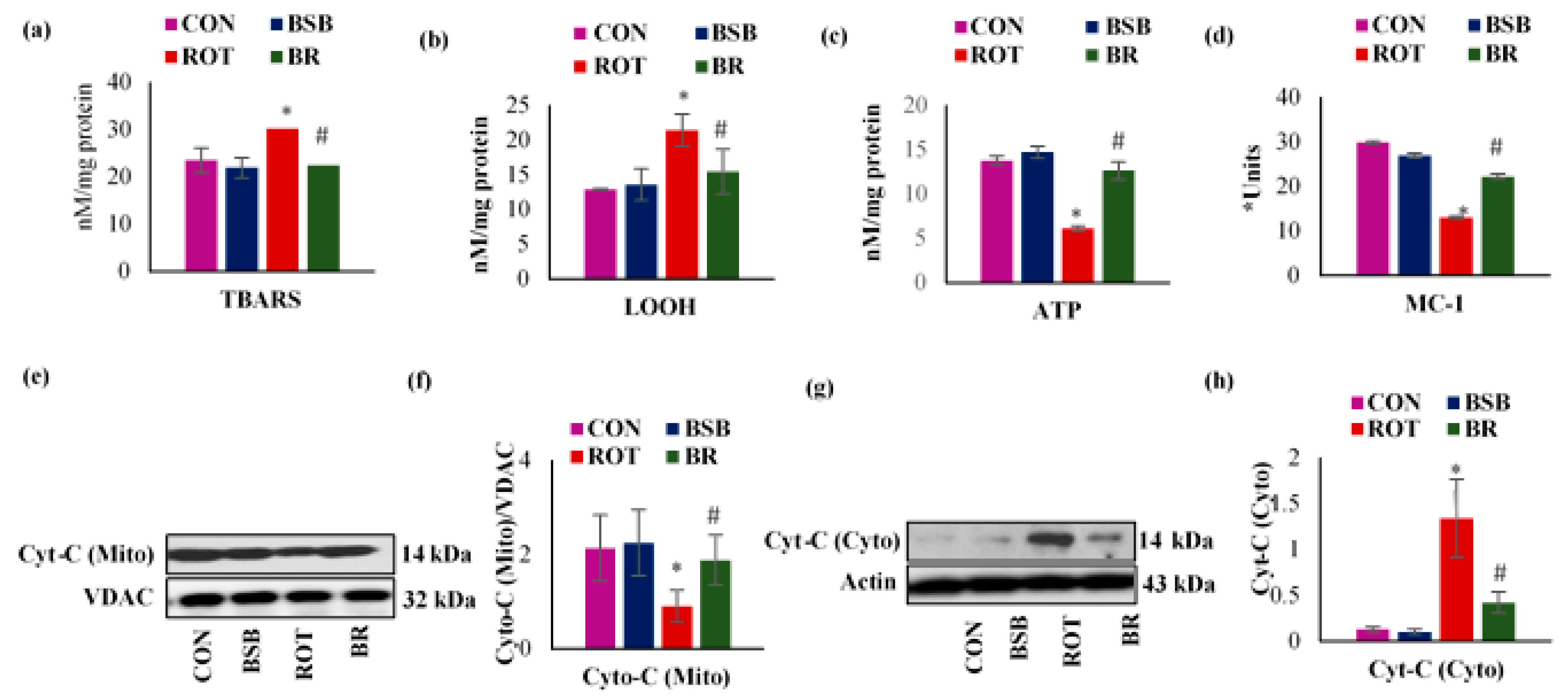 Biomolecules 10 01421 g009