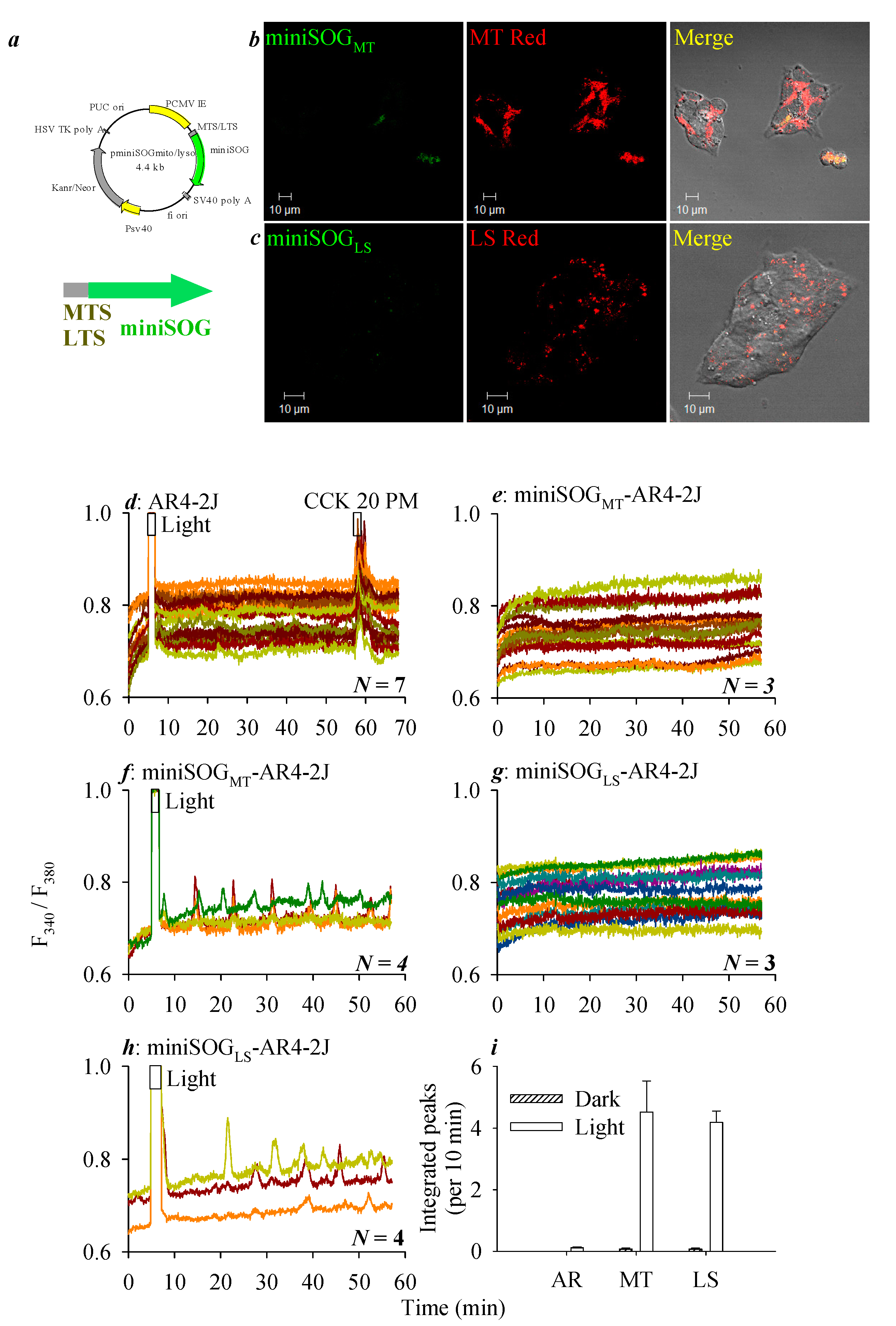 Biomolecules 10 01423 g003