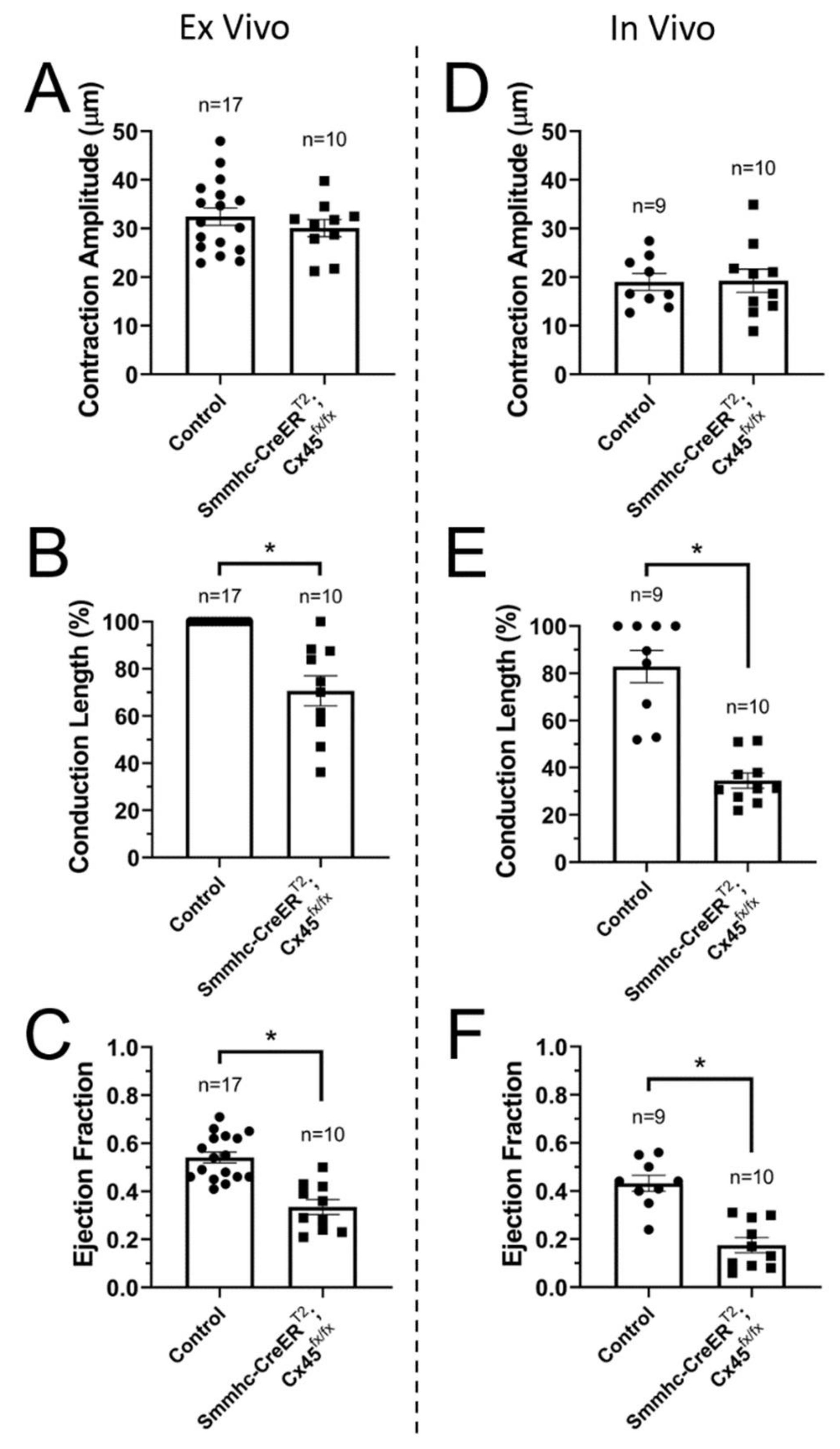 Biomolecules 10 01424 g003 Biomolecules 10 01424 g003