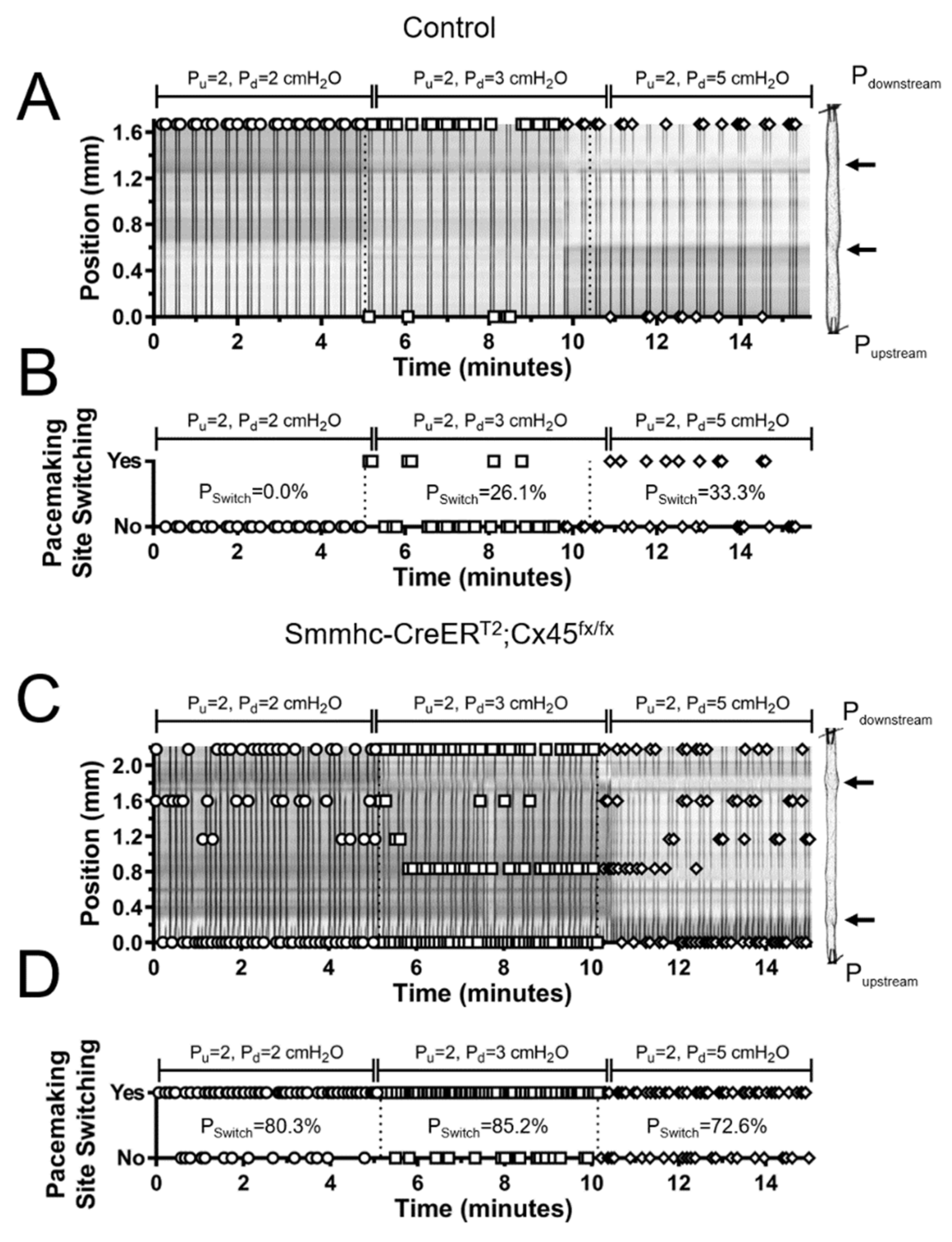Biomolecules 10 01424 g007 Biomolecules 10 01424 g007