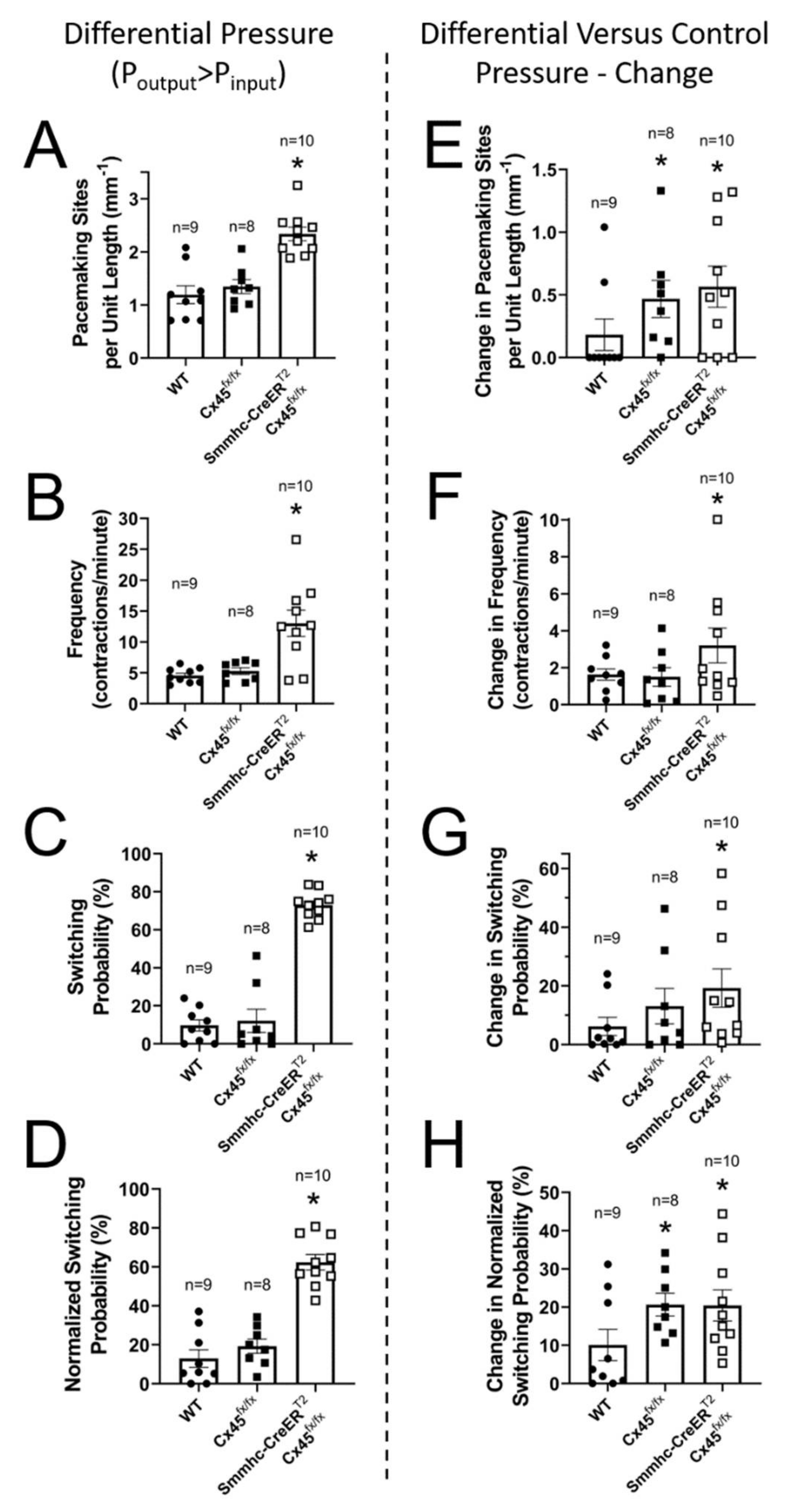 Biomolecules 10 01424 g008 Biomolecules 10 01424 g008