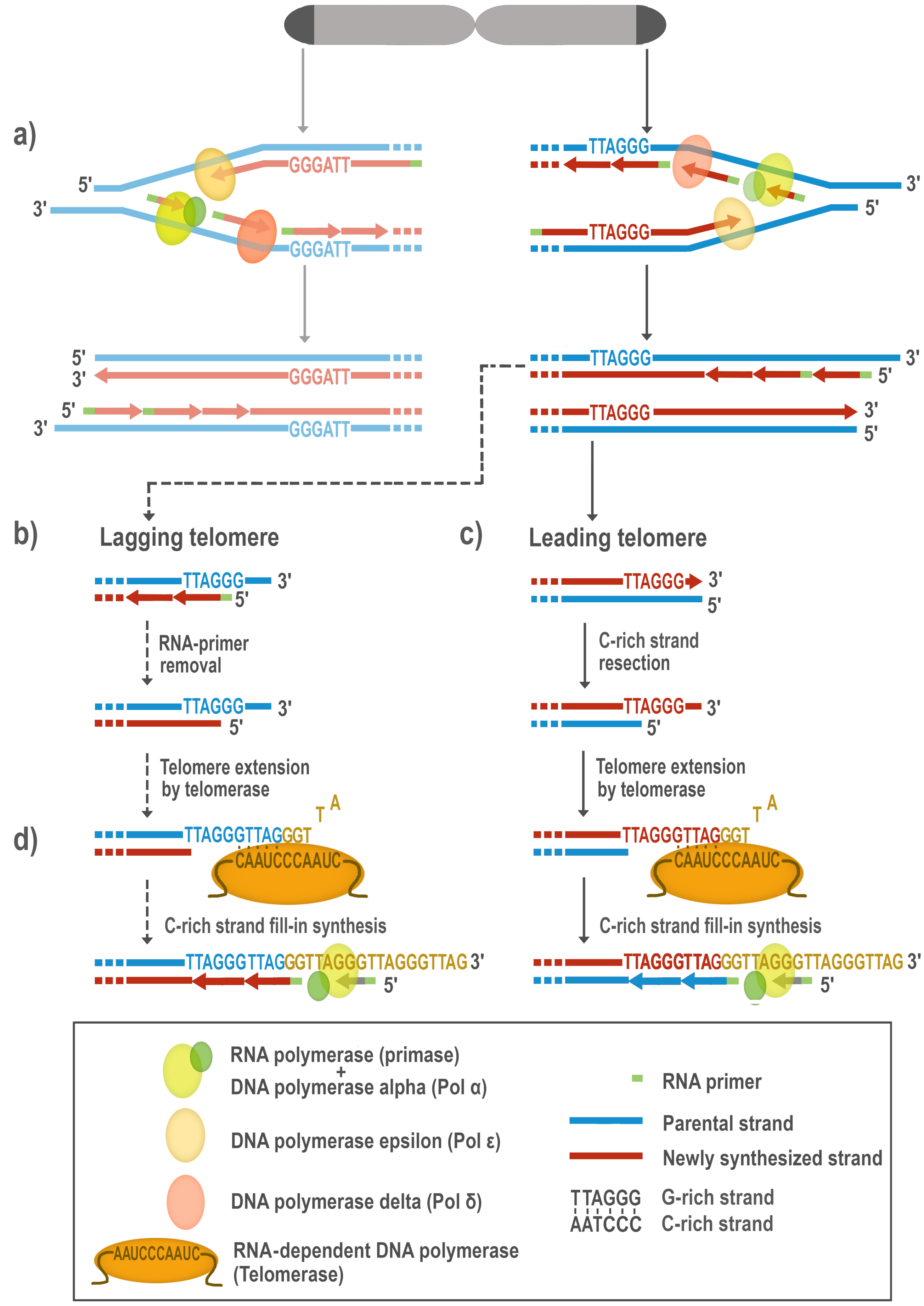 Biomolecules 10 01425 g001