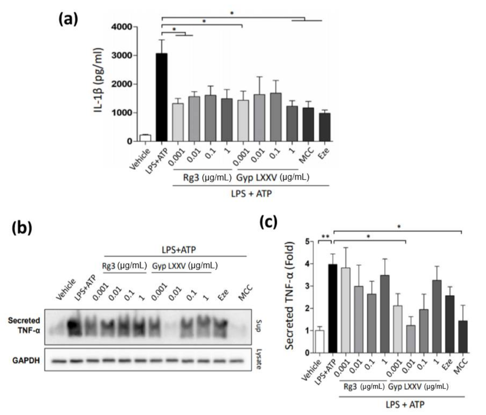 Biomolecules 10 01426 g002 Biomolecules 10 01426 g002