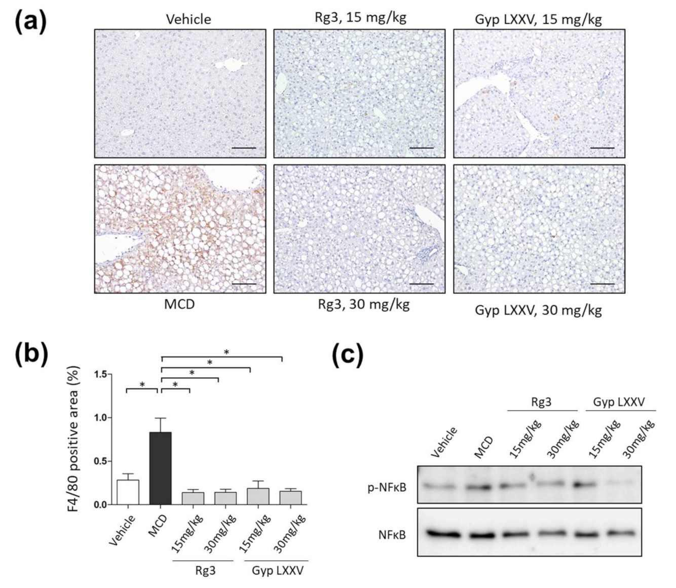 Biomolecules 10 01426 g008 Biomolecules 10 01426 g008