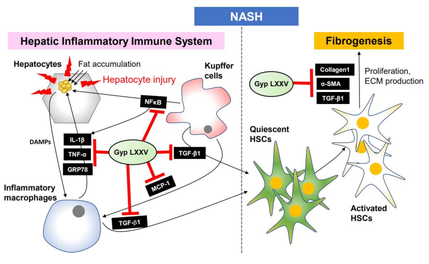 Biomolecules 10 01426 g009 Biomolecules 10 01426 g009