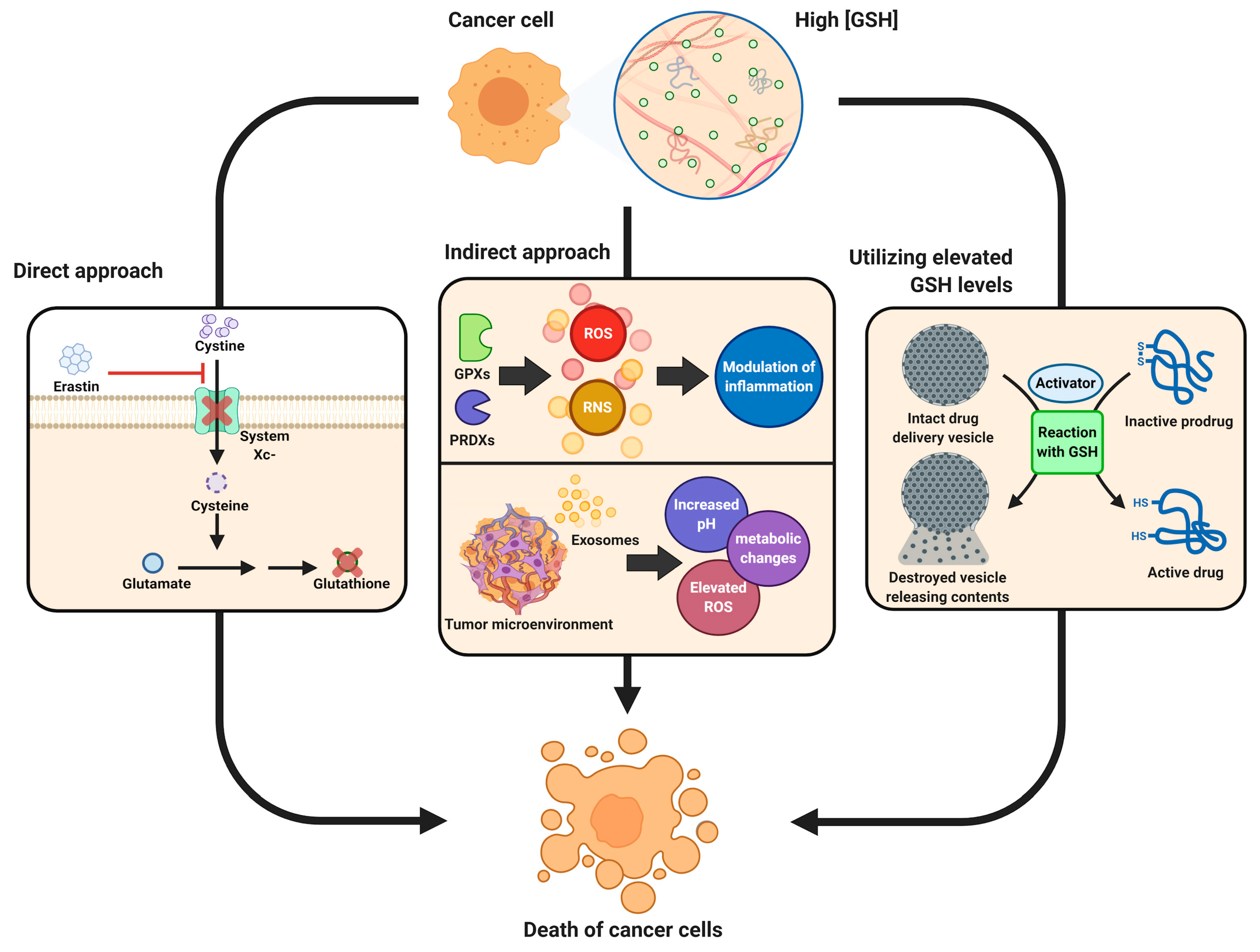 Glutathione and aging process