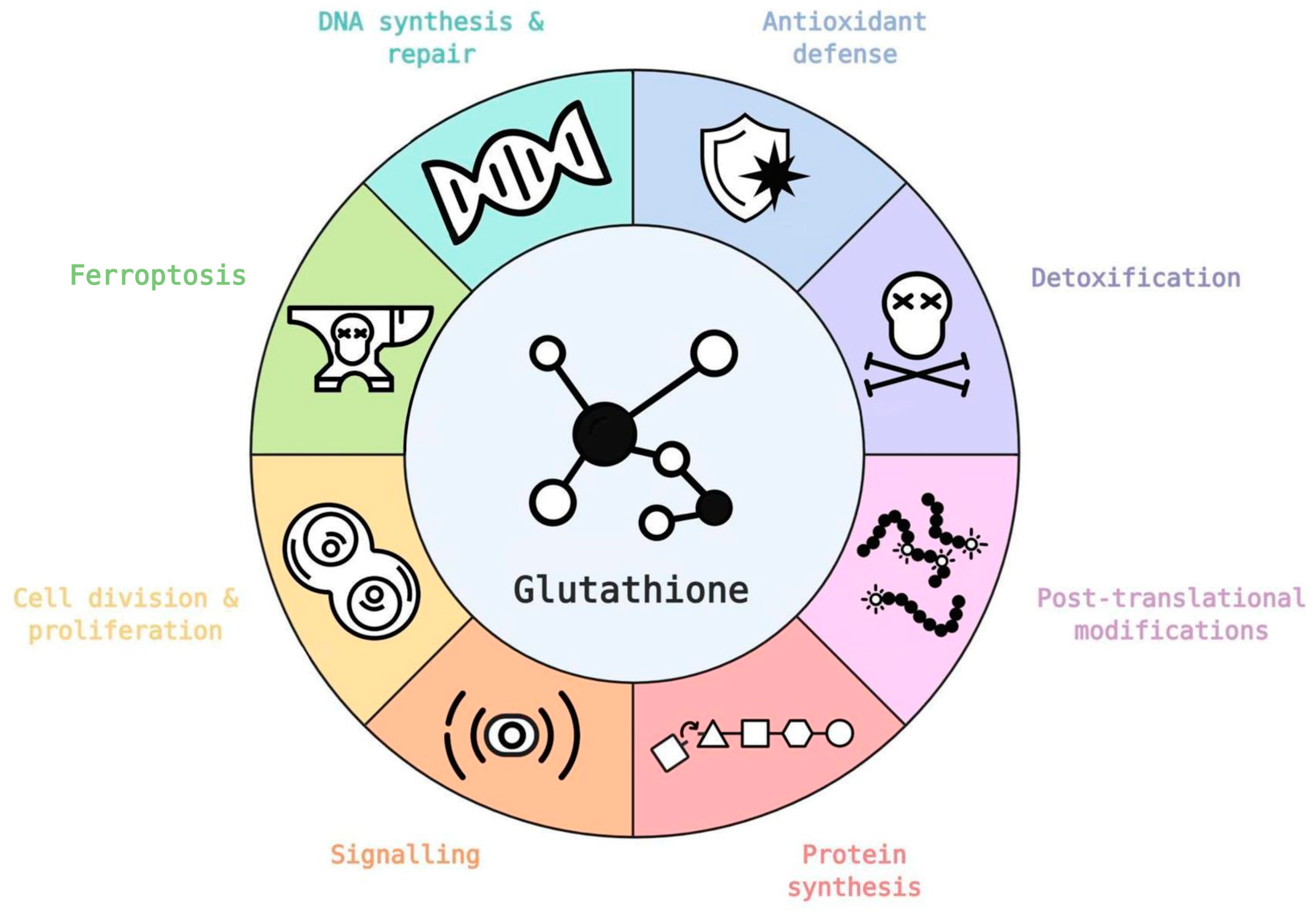 Biomolecules 10 01429 g004 Biomolecules 10 01429 g004
