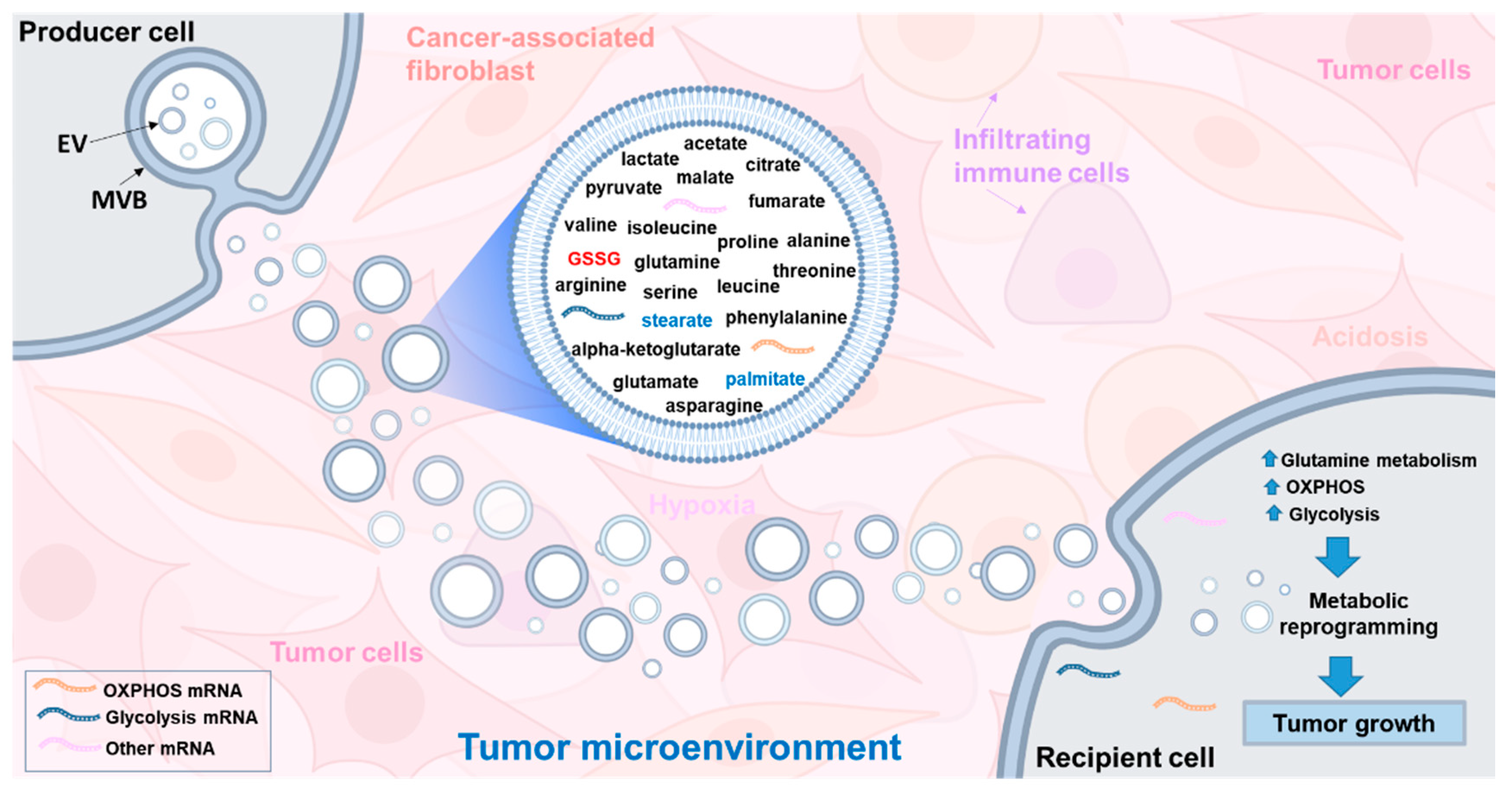 Biomolecules 10 01429 g007 Biomolecules 10 01429 g007