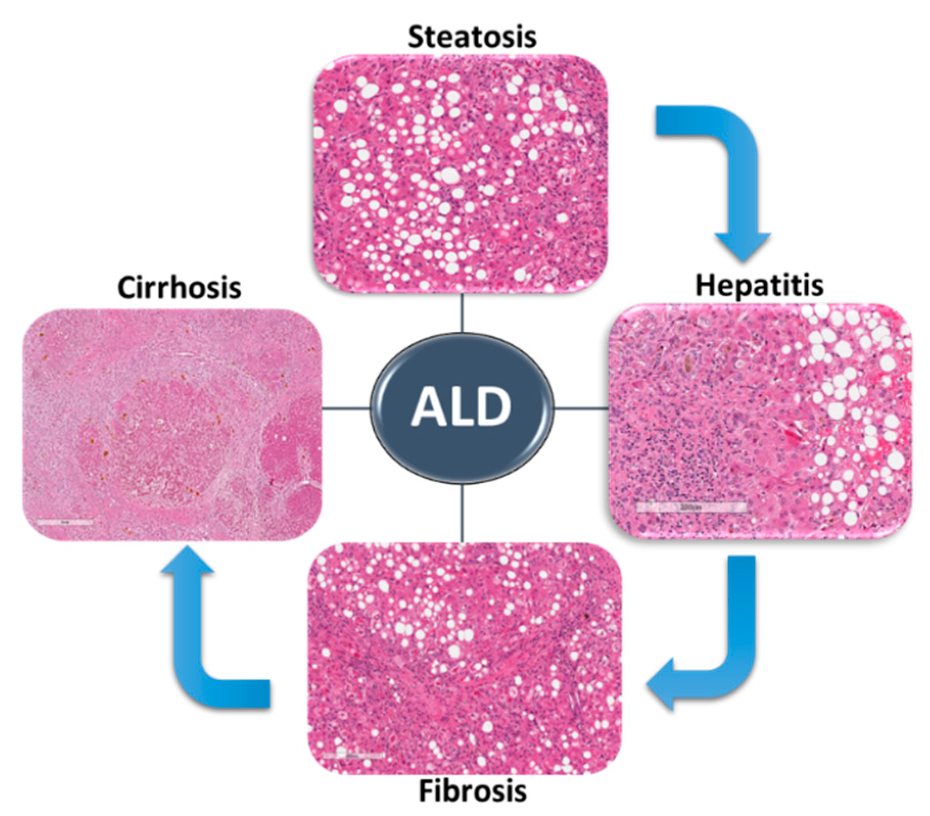Biomolecules 10 01433 g001 Biomolecules 10 01433 g001
