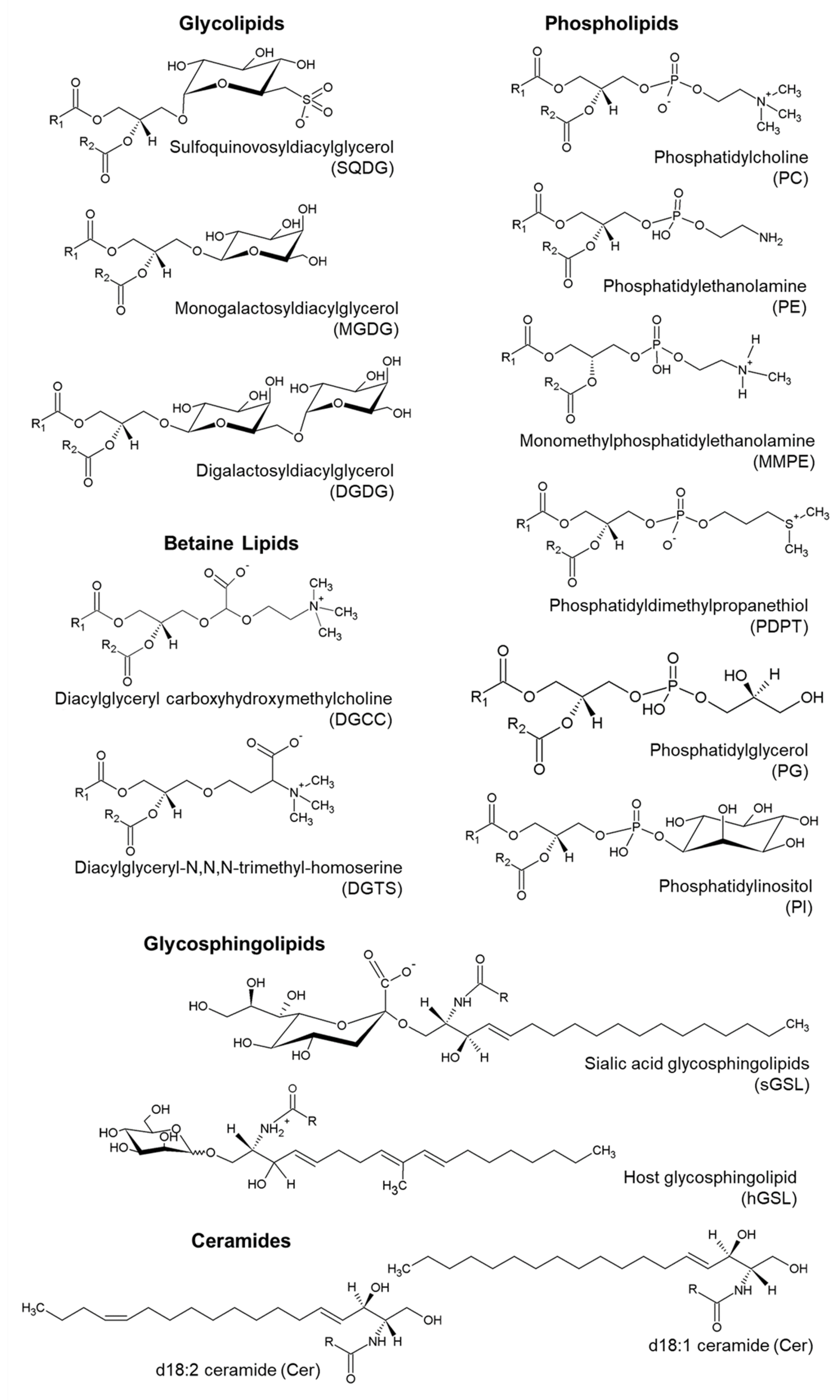Biomolecules 10 01434 g002