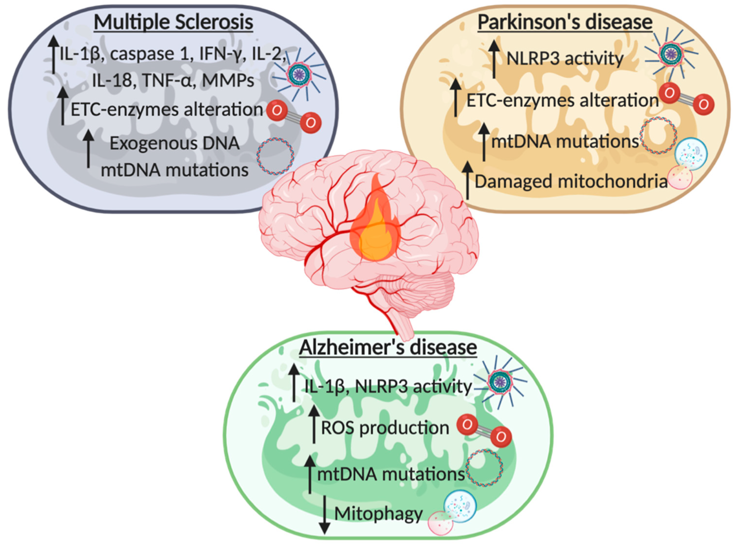 Biomolecules 10 01437 g002