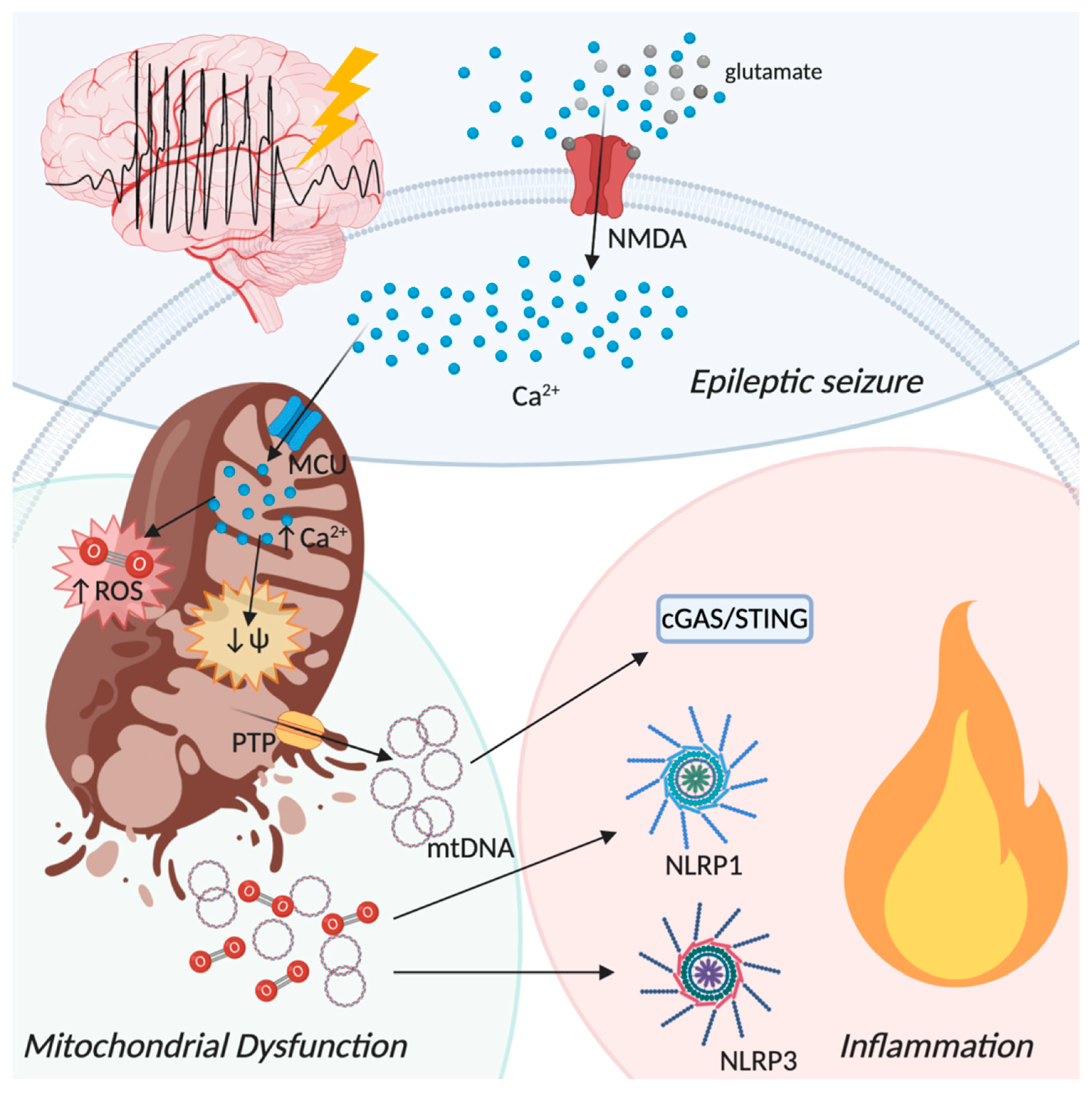 Biomolecules 10 01437 g004