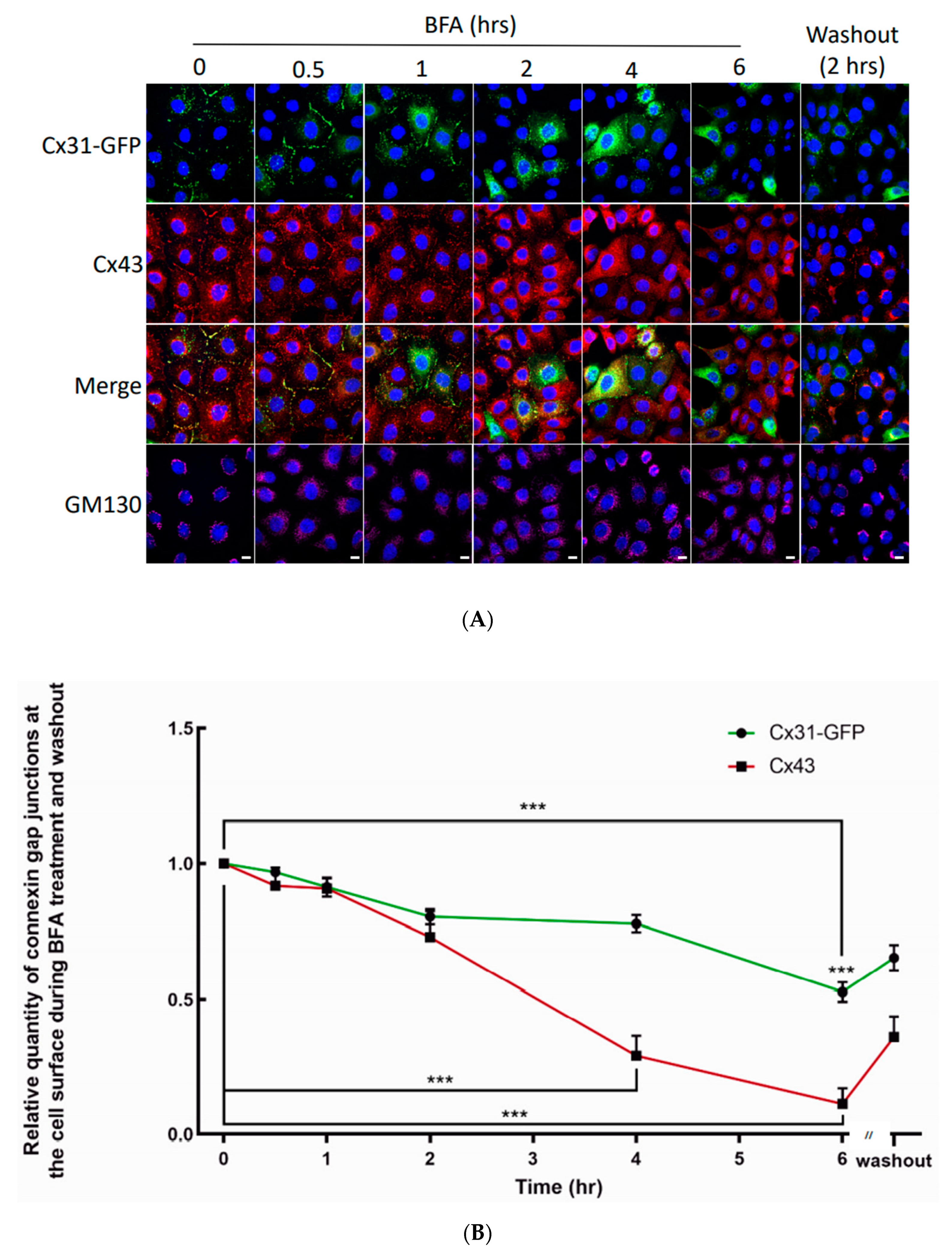 Biomolecules 10 01443 g009