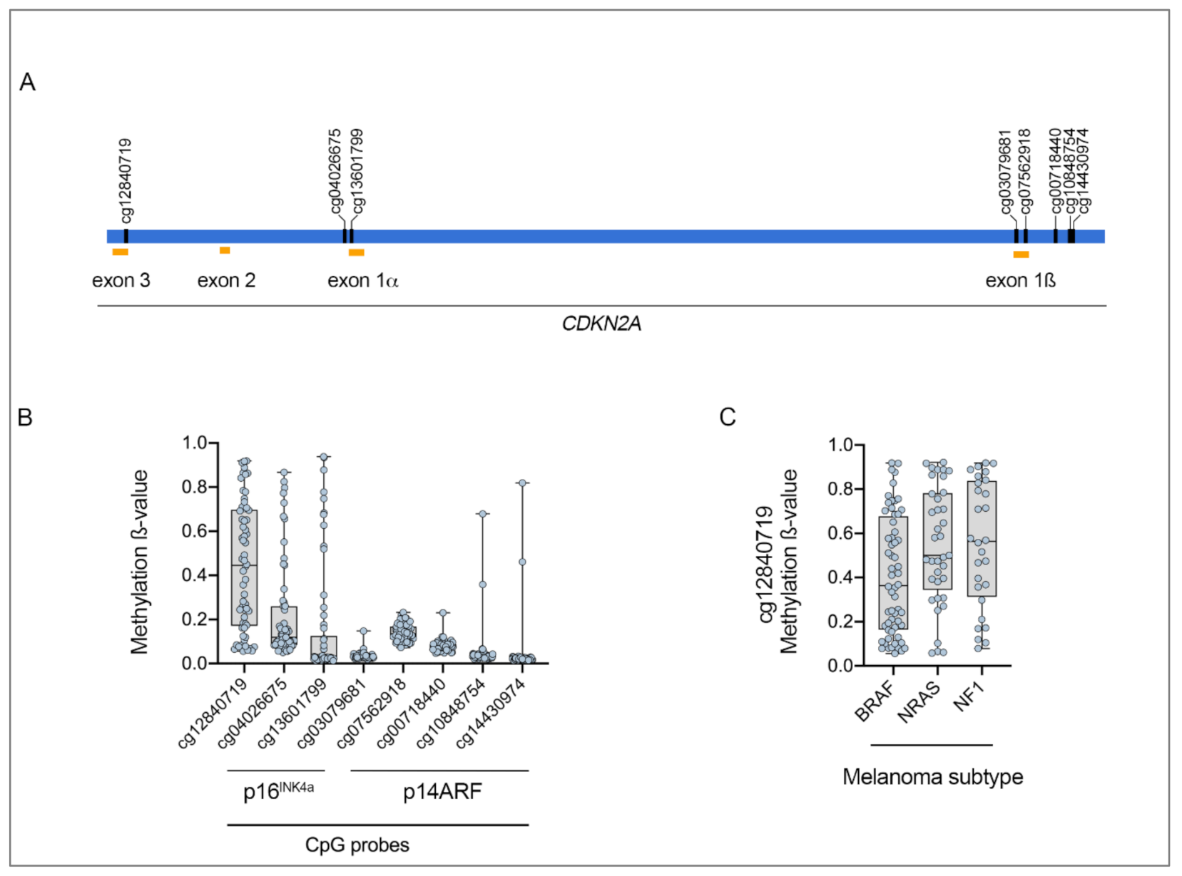 Biomolecules 10 01447 g001