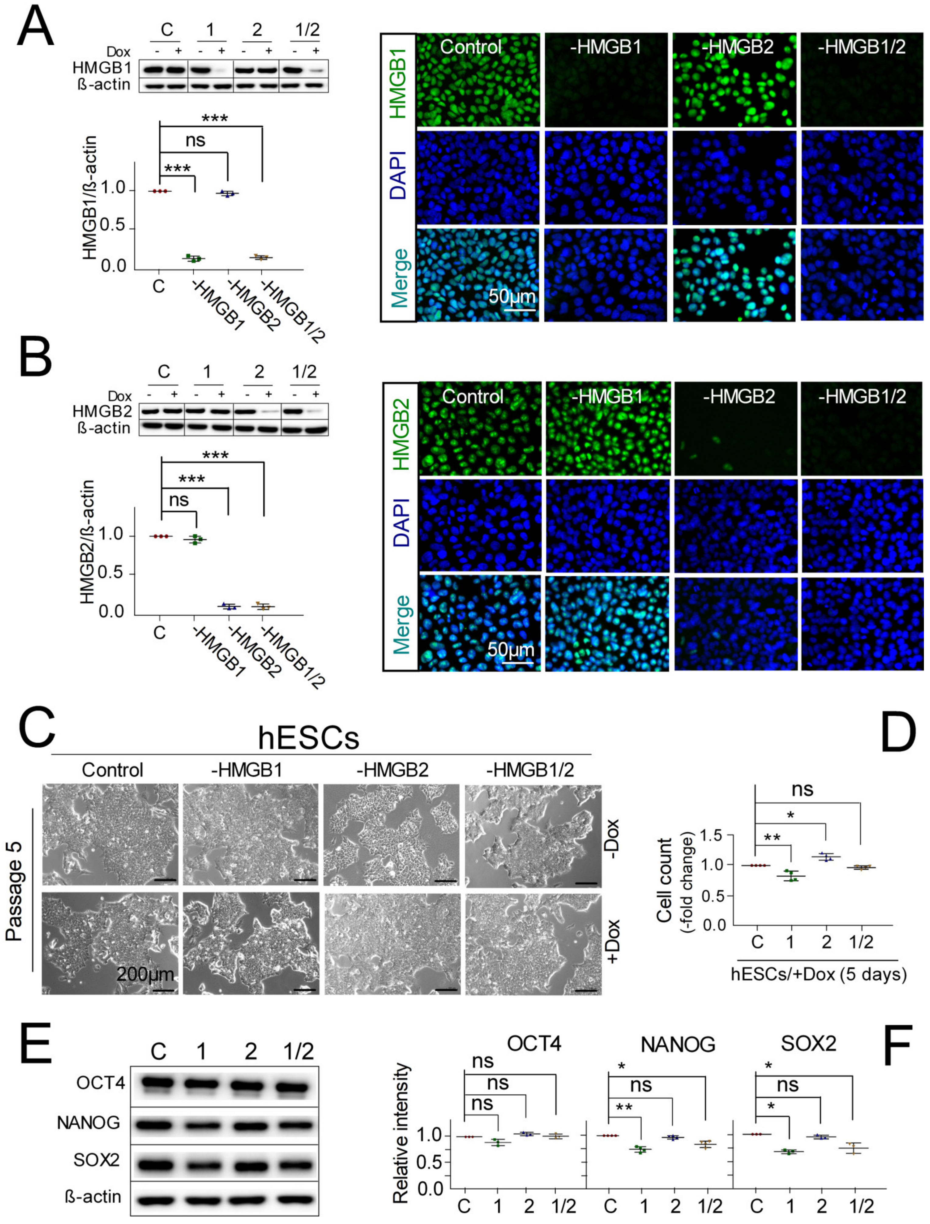Biomolecules 10 01450 g001