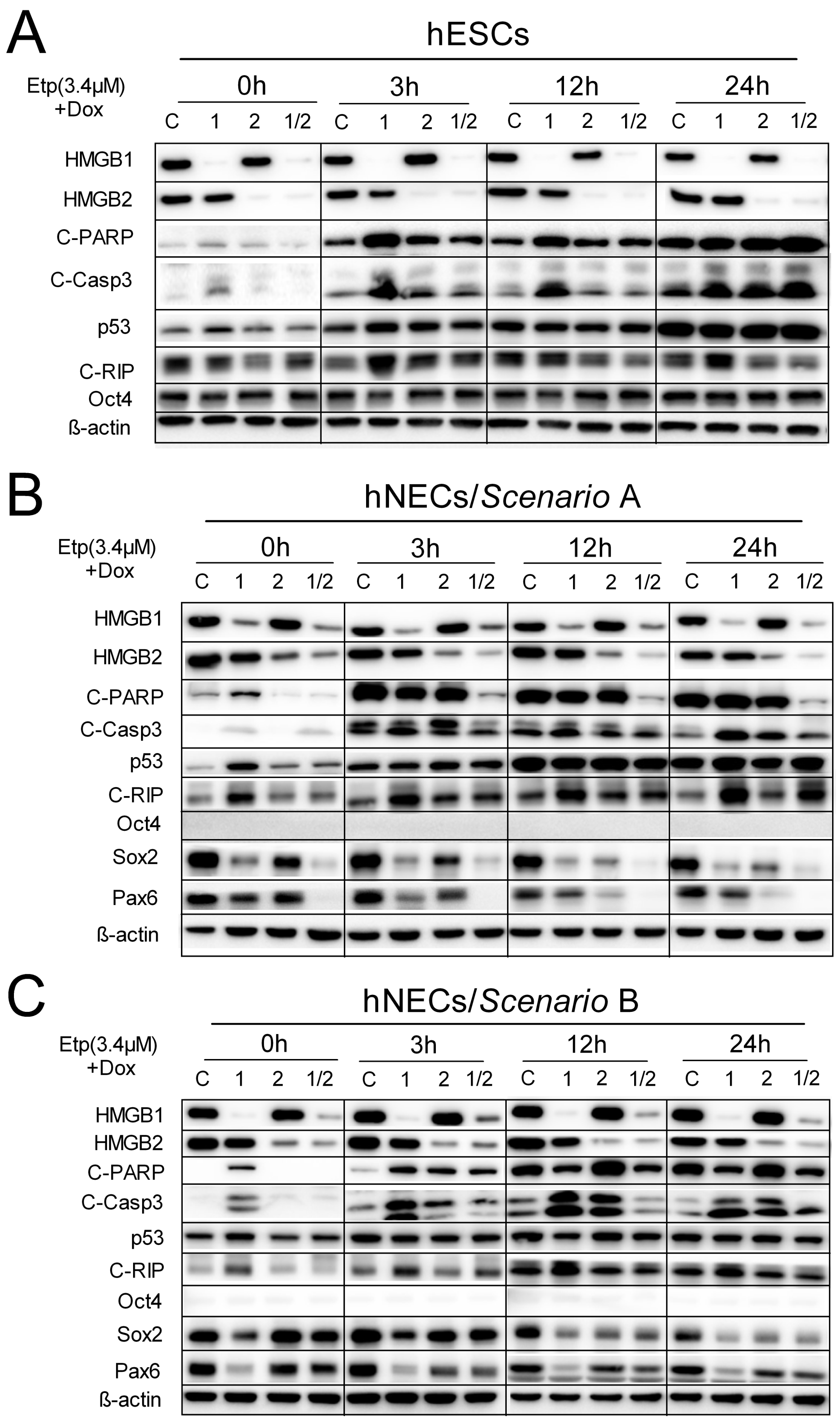 Biomolecules 10 01450 g007