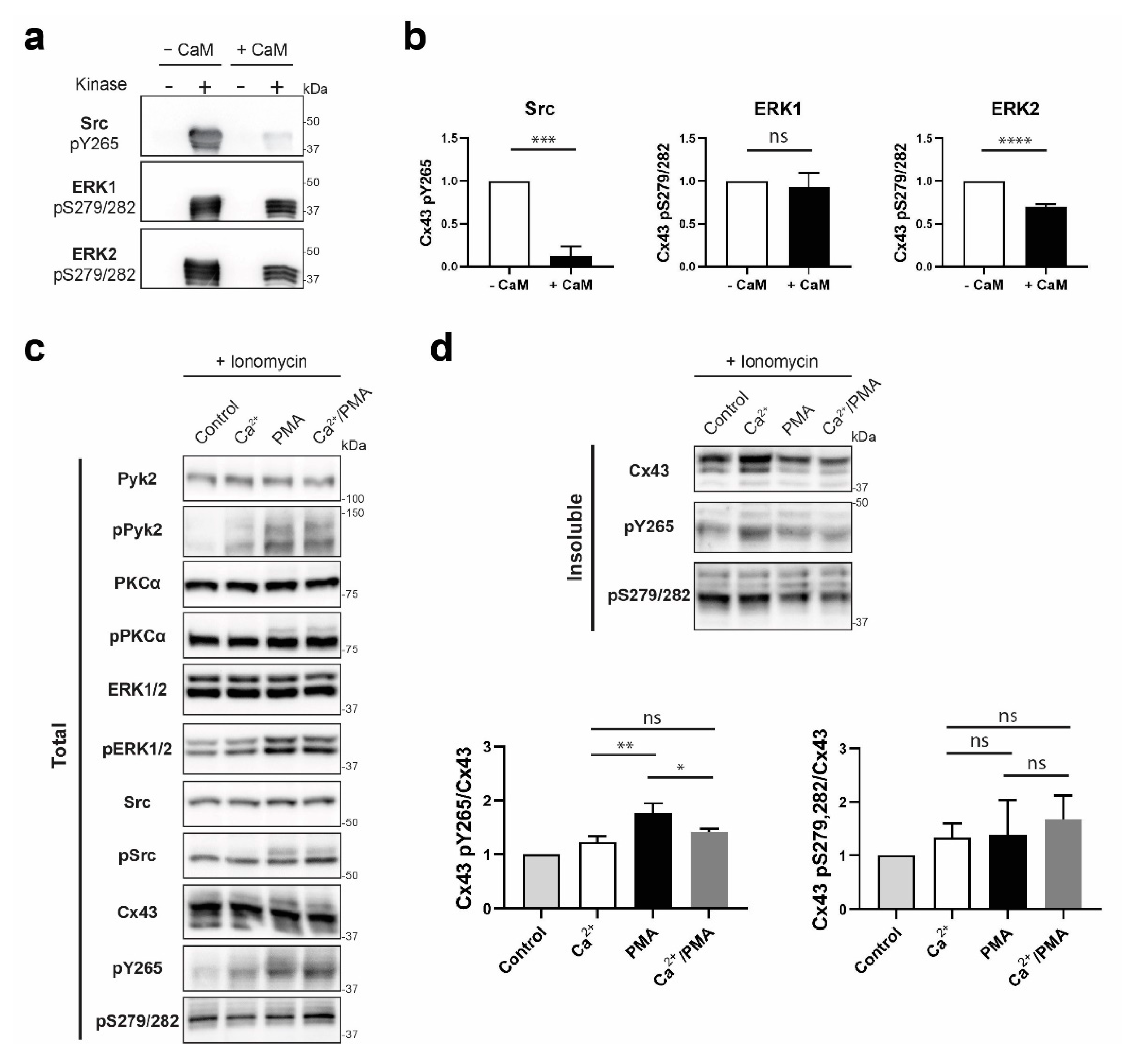 Biomolecules 10 01452 g009 Biomolecules 10 01452 g009