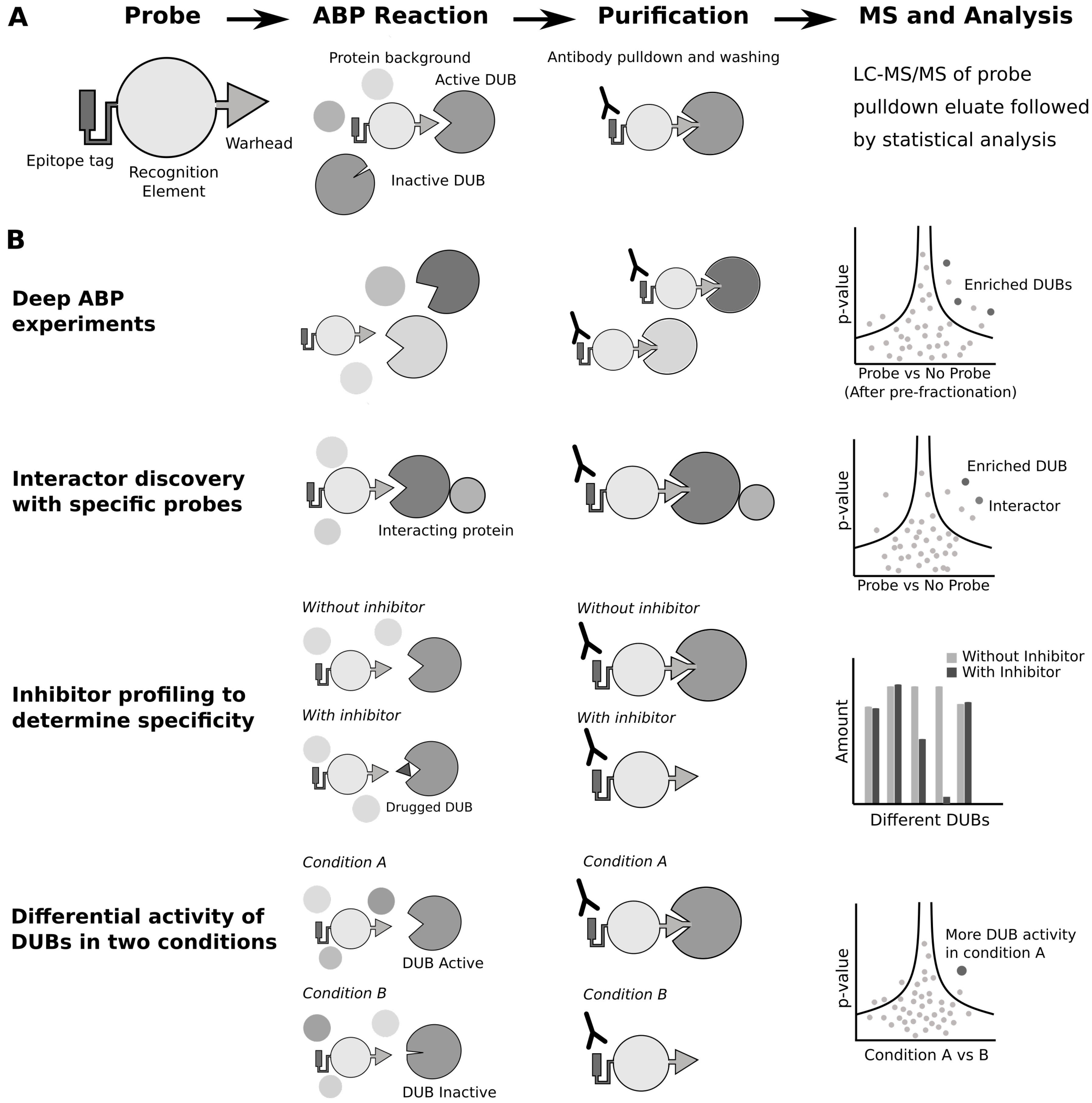 Biomolecules 10 01453 g002