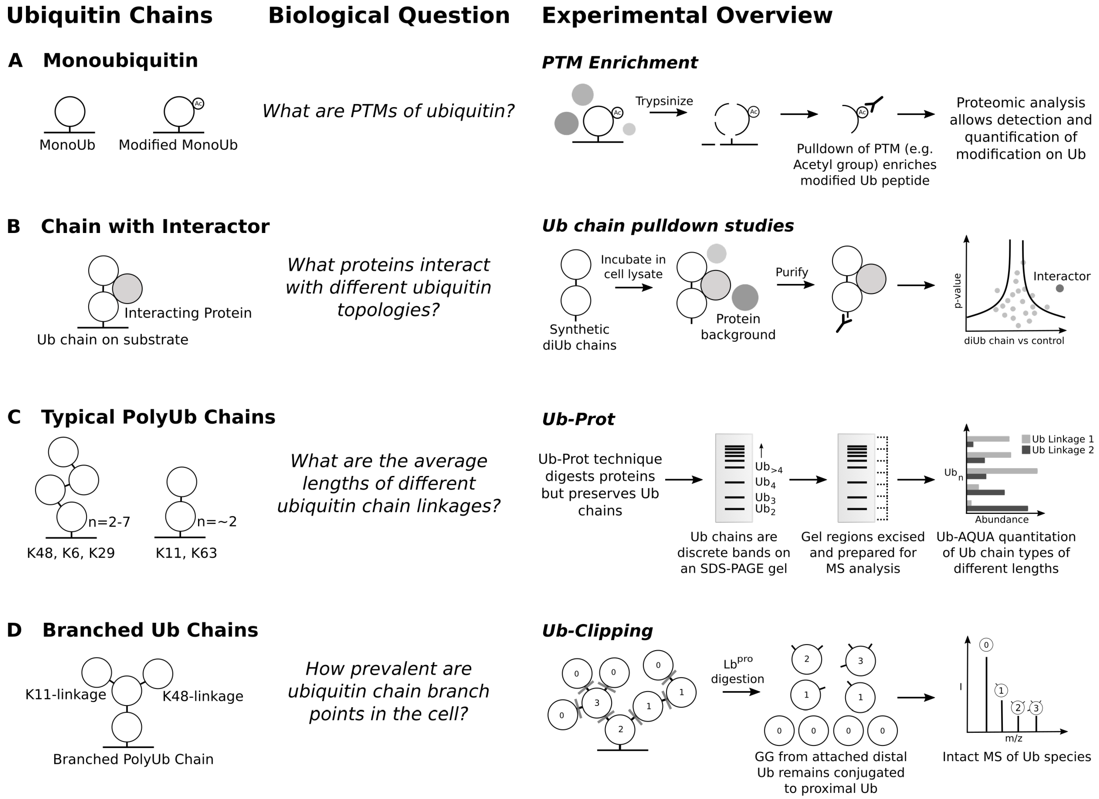 Biomolecules 10 01453 g003