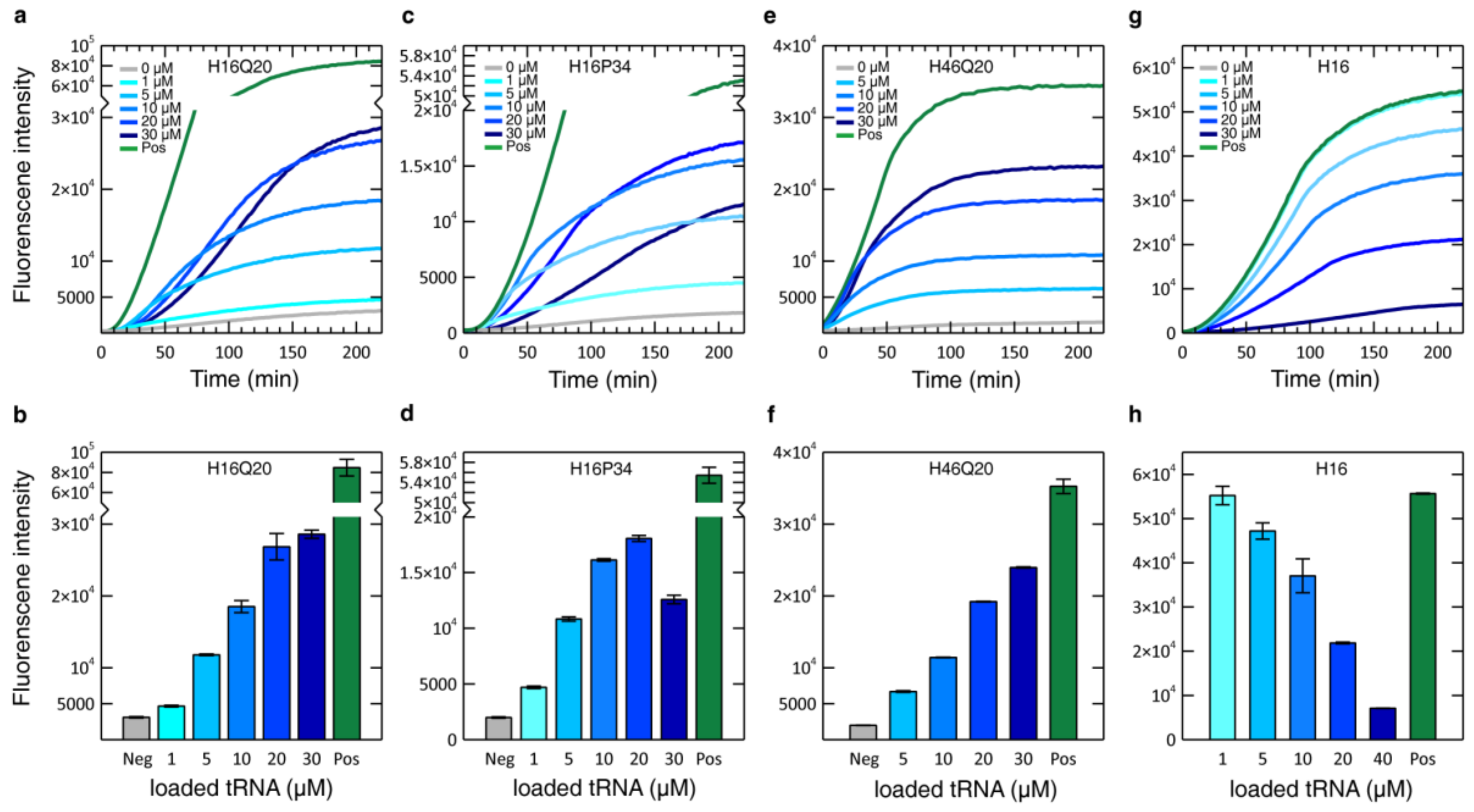 Biomolecules 10 01458 g006