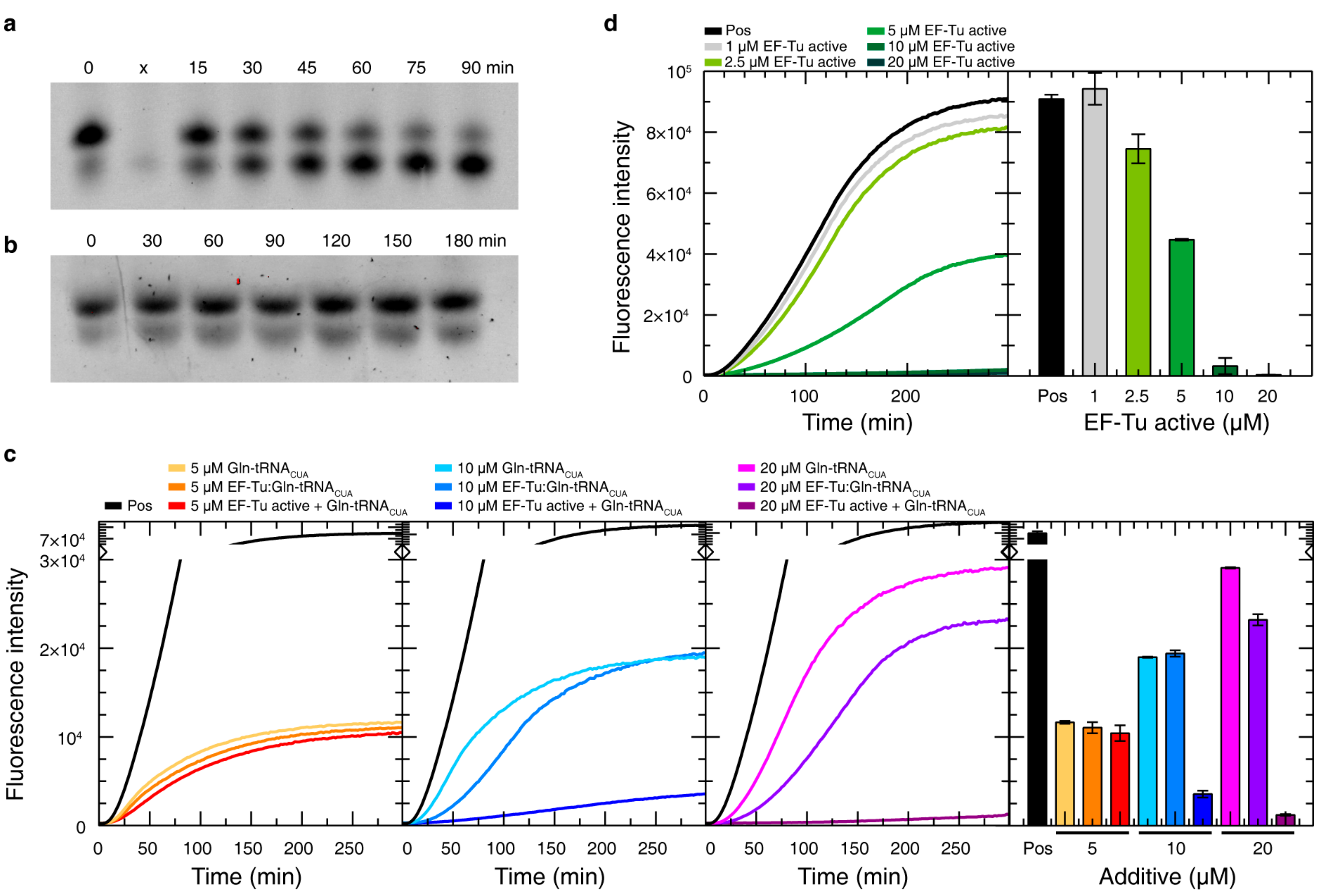 Biomolecules 10 01458 g007