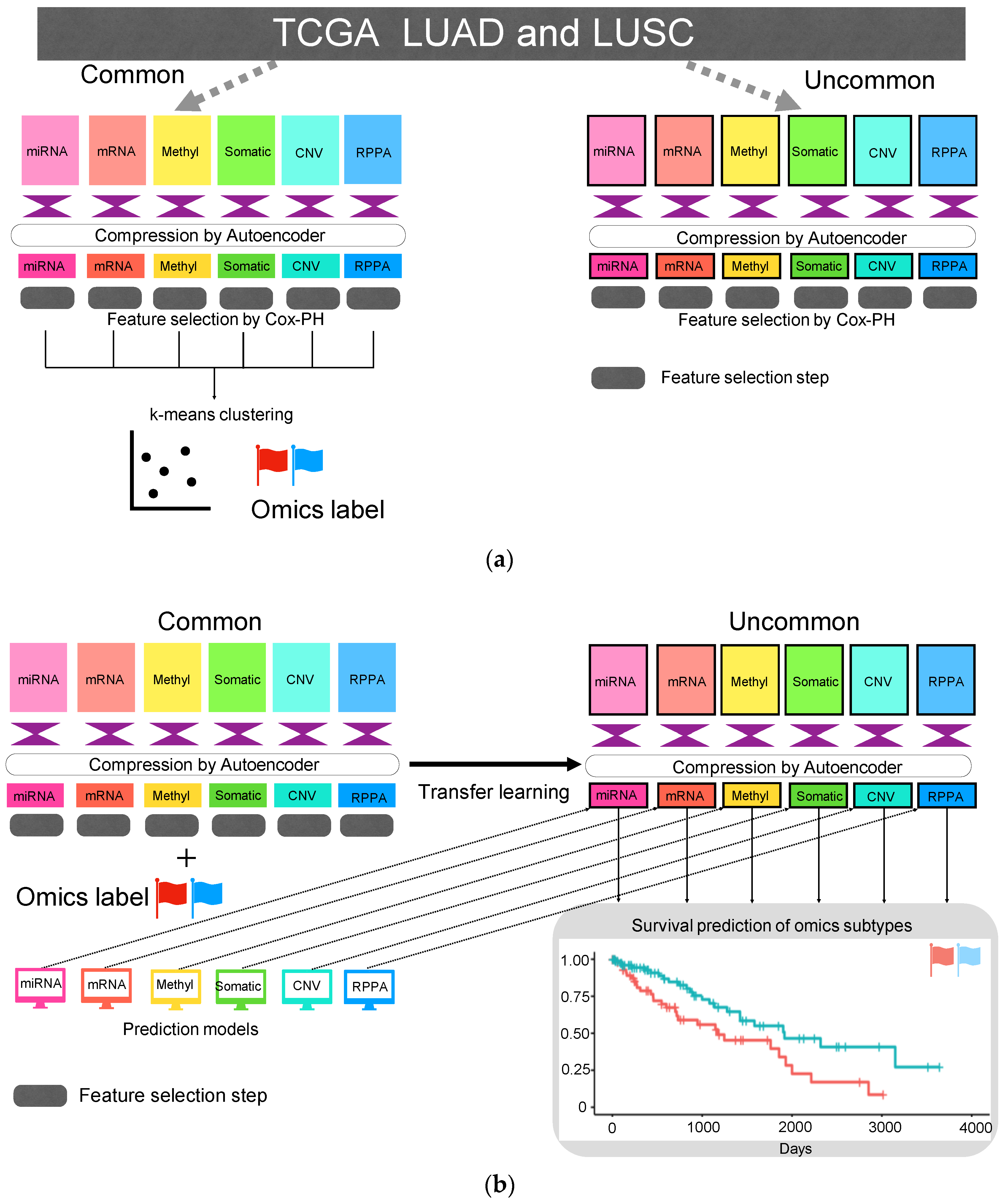 Biomolecules 10 01460 g001