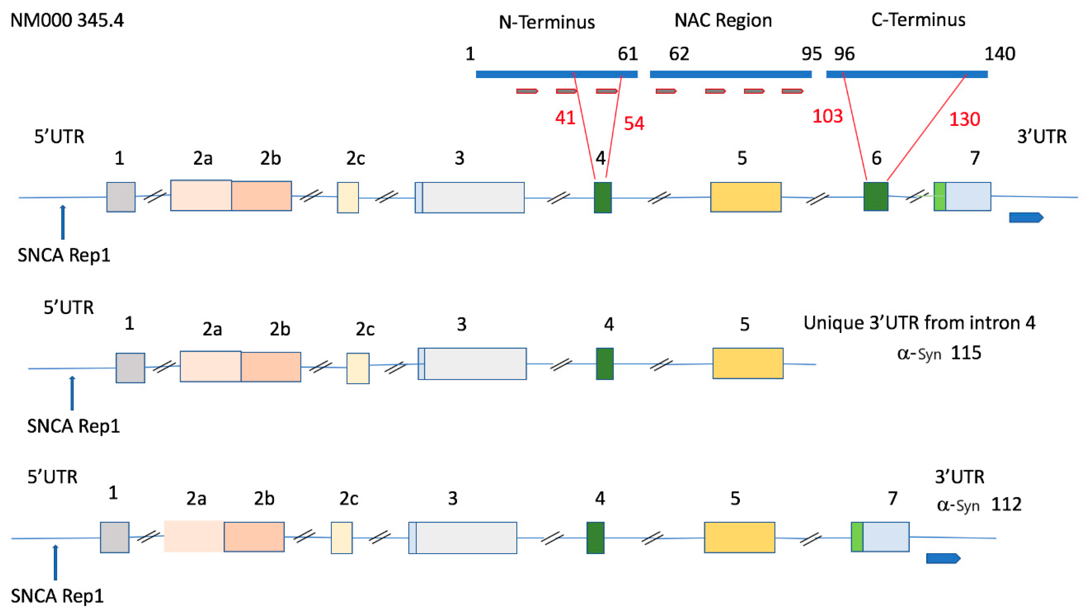 Biomolecules 10 01465 g001