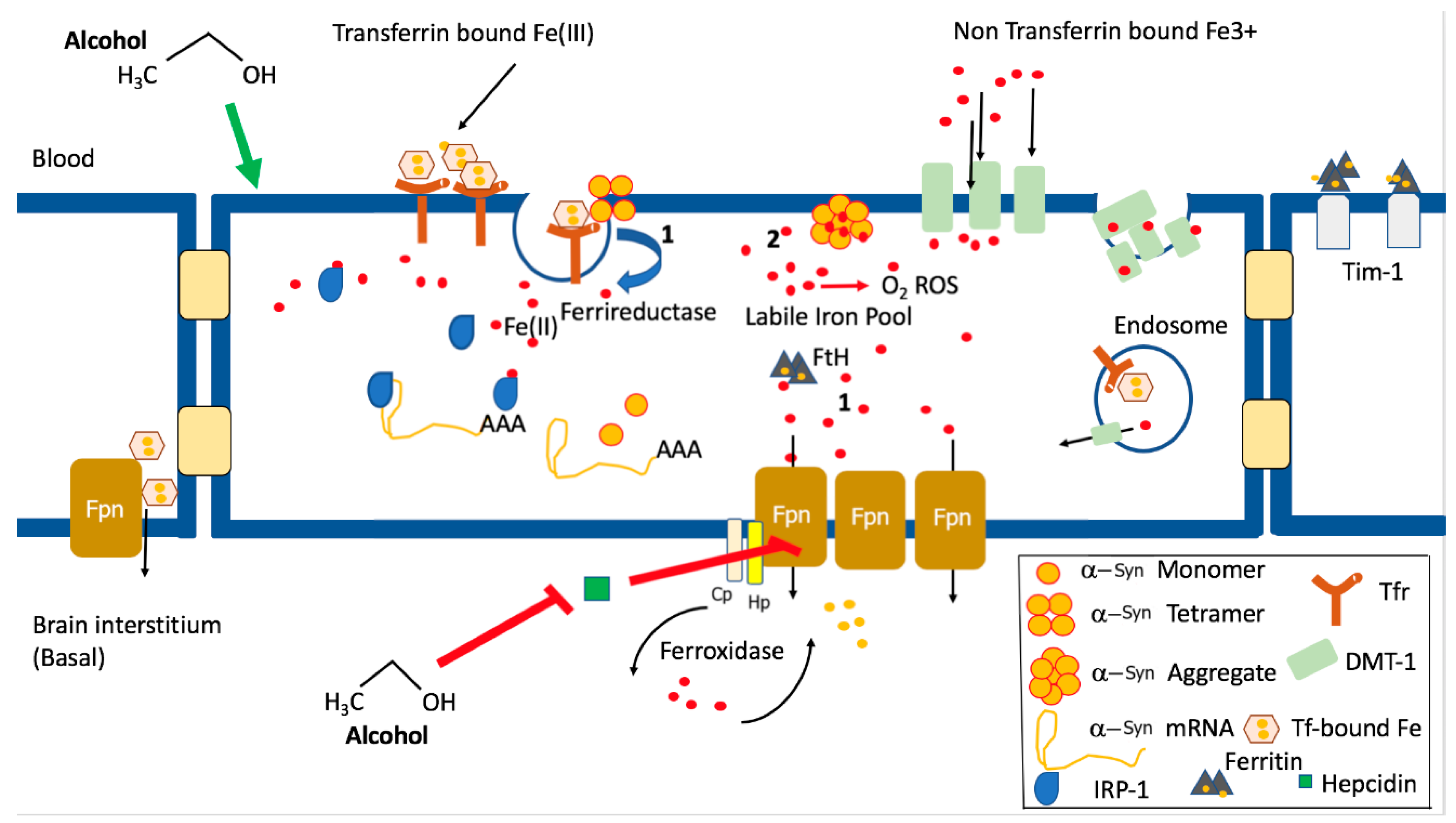 Biomolecules 10 01465 g002