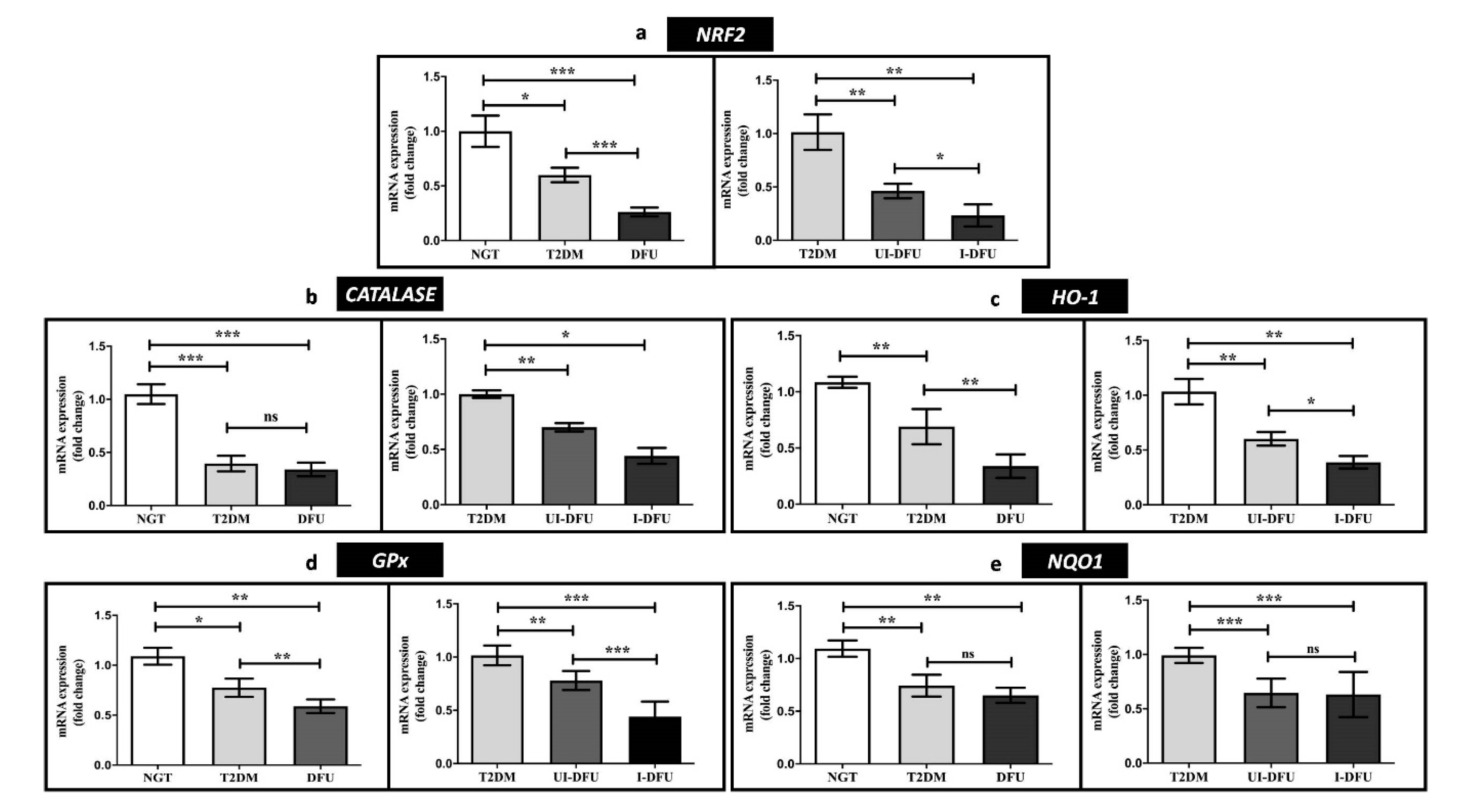 Biomolecules 10 01466 g001