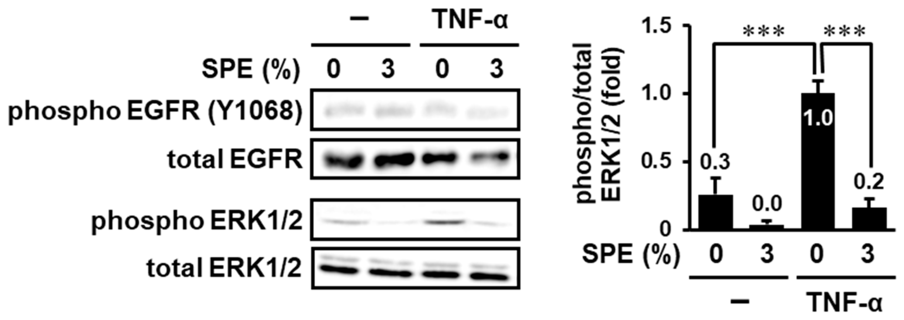Biomolecules 10 01468 g003
