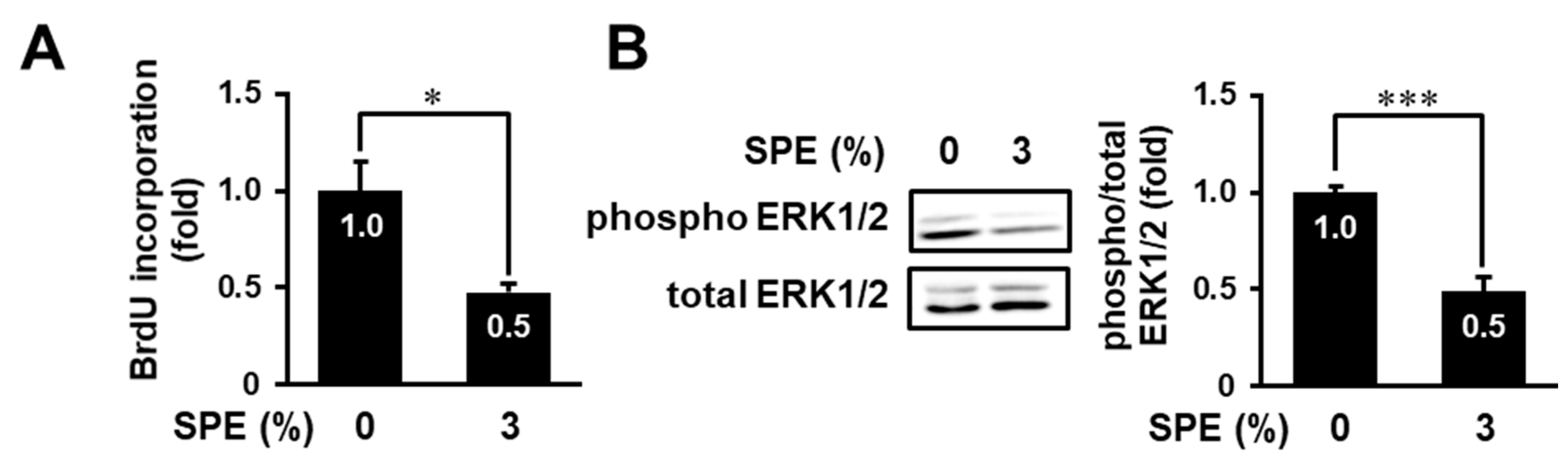 Biomolecules 10 01468 g004