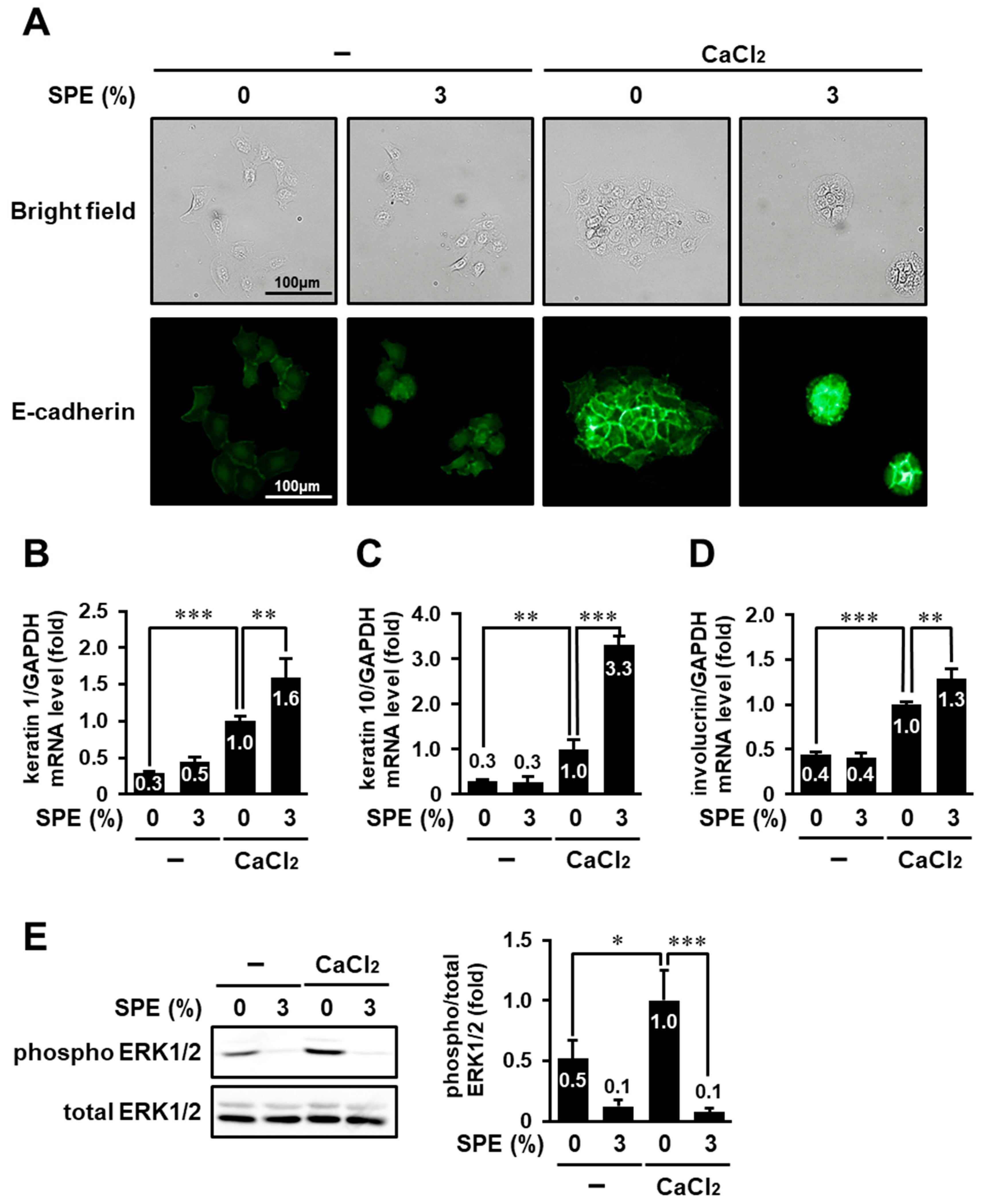 Biomolecules 10 01468 g006