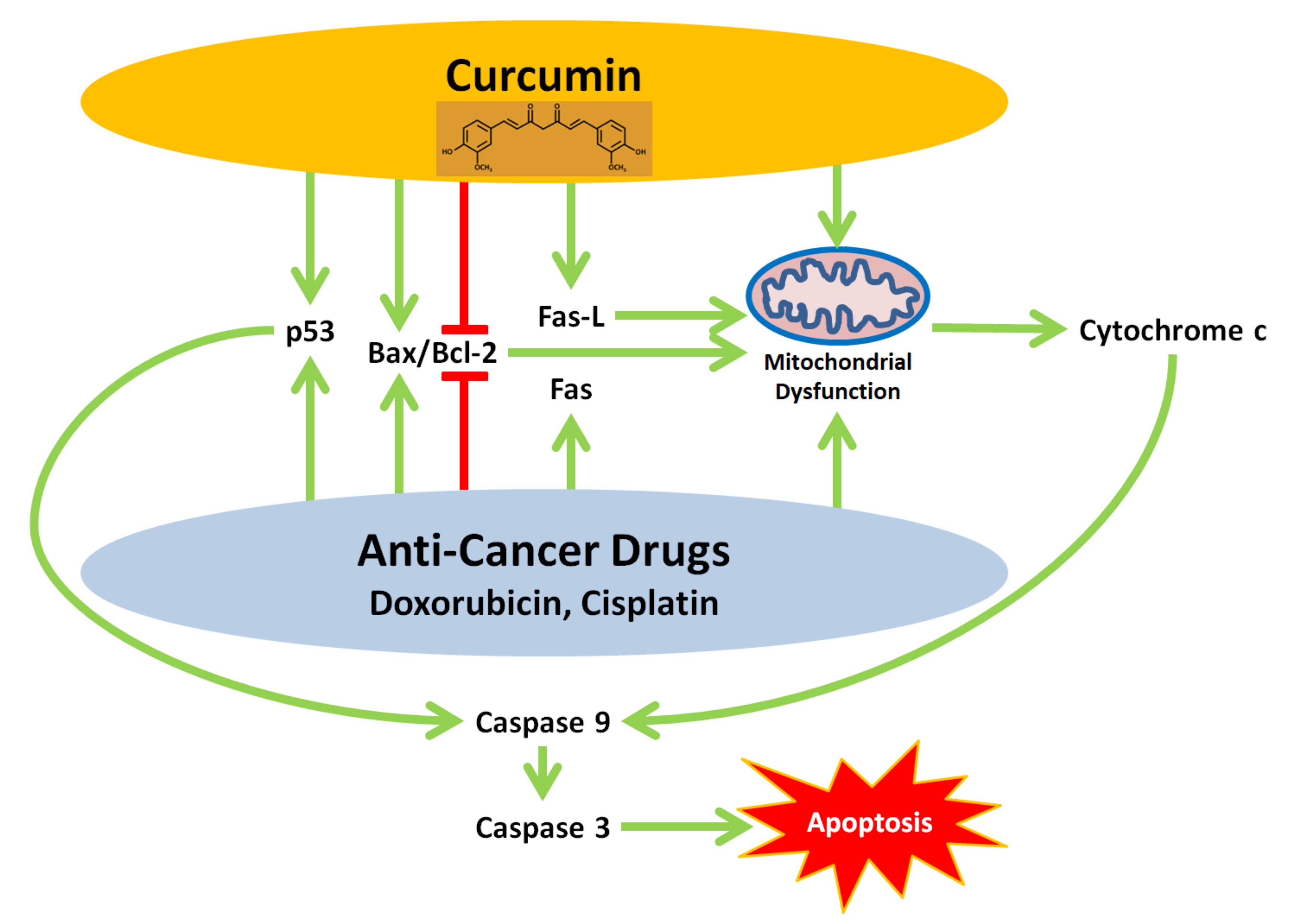 Biomolecules 10 01469 g003 Biomolecules 10 01469 g003