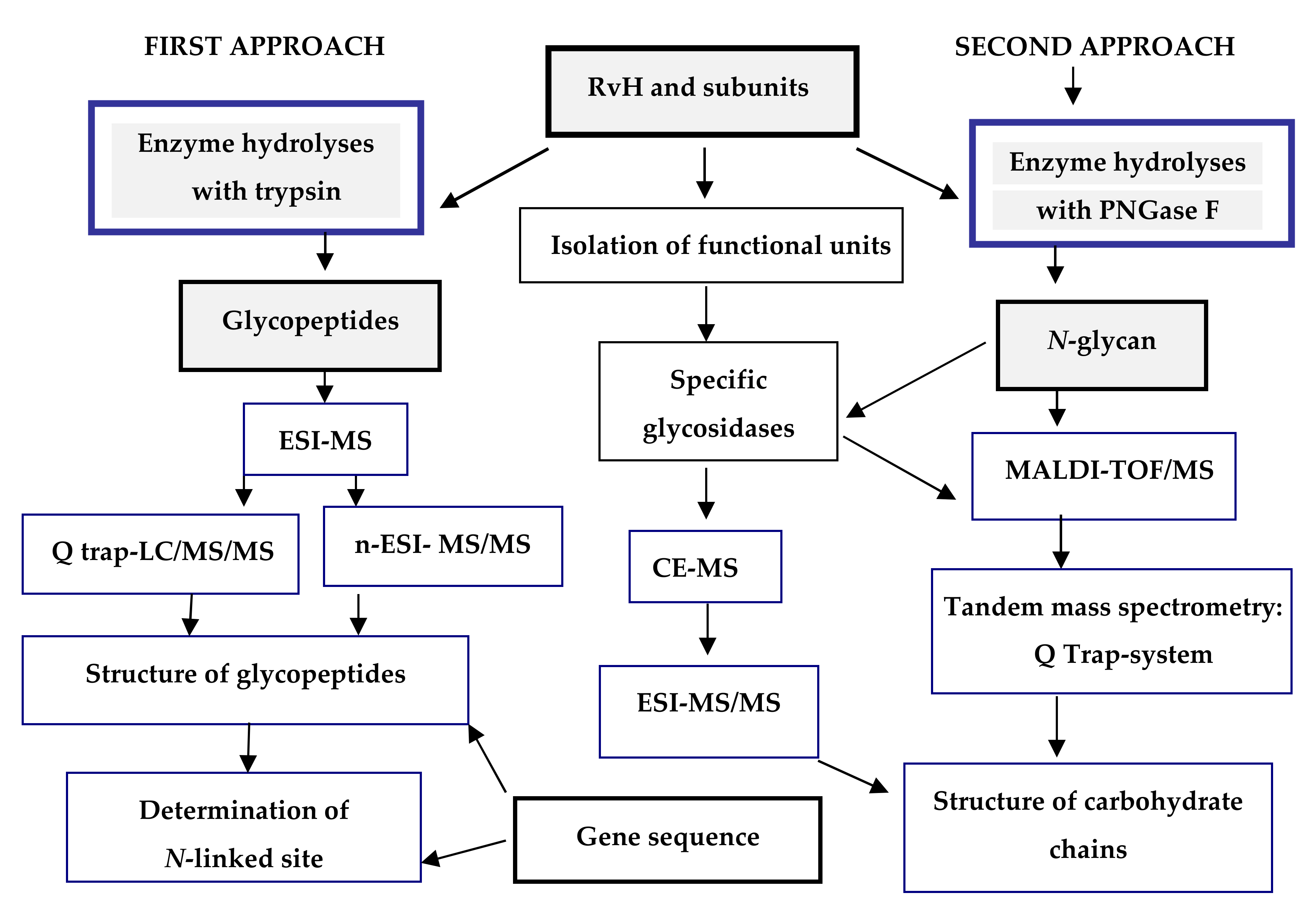 Biomolecules 10 01470 g003