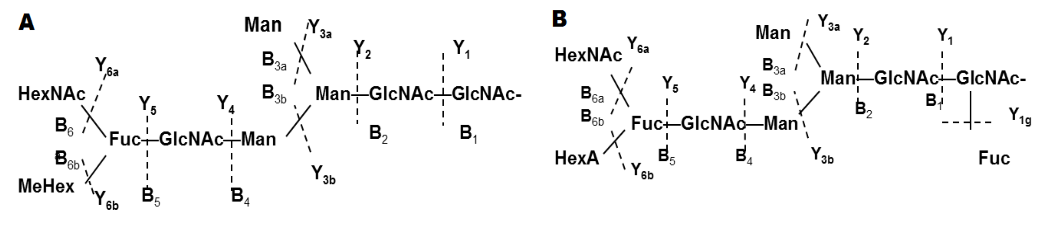 Biomolecules 10 01470 g007