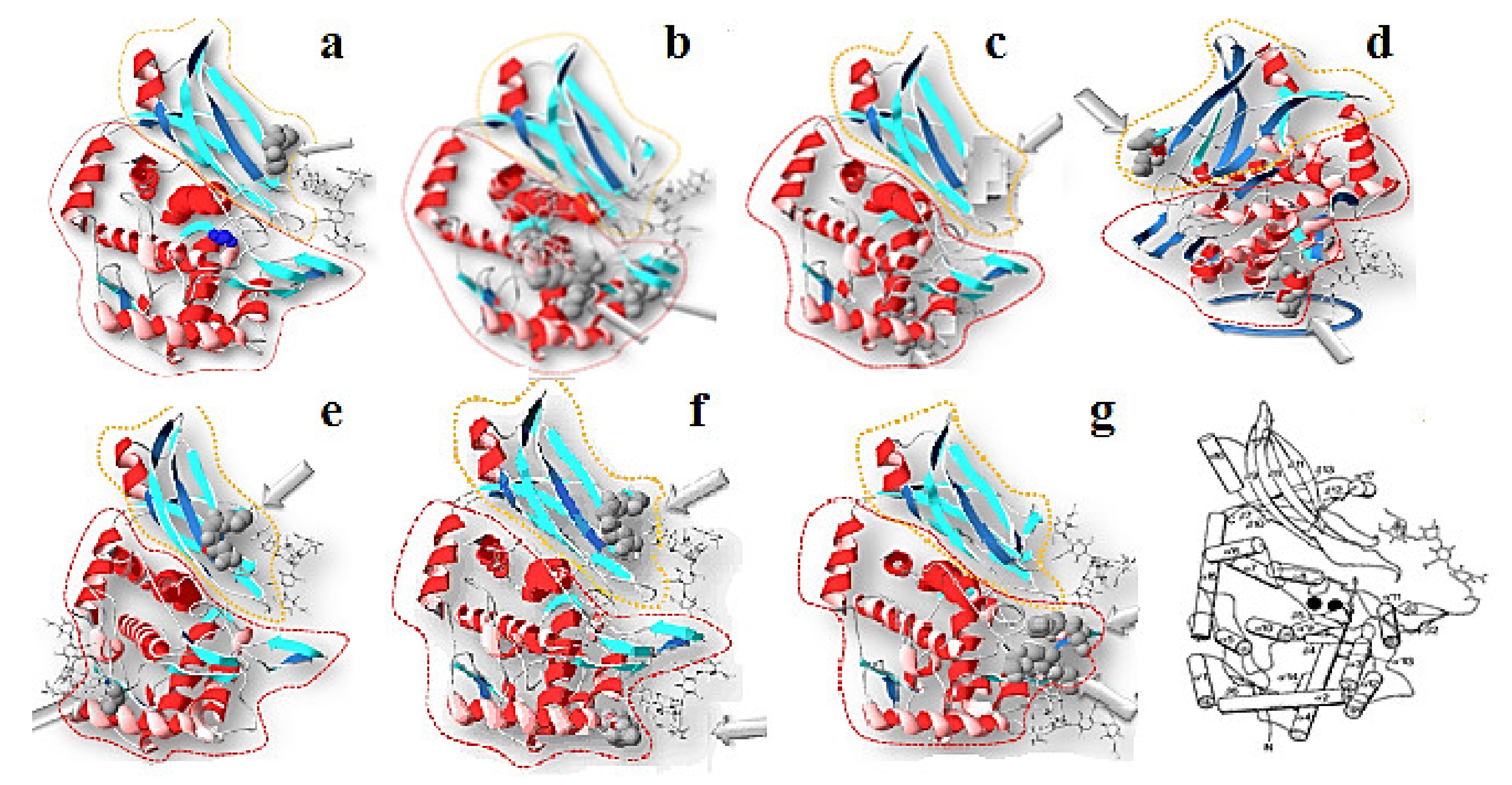 Biomolecules 10 01470 g015