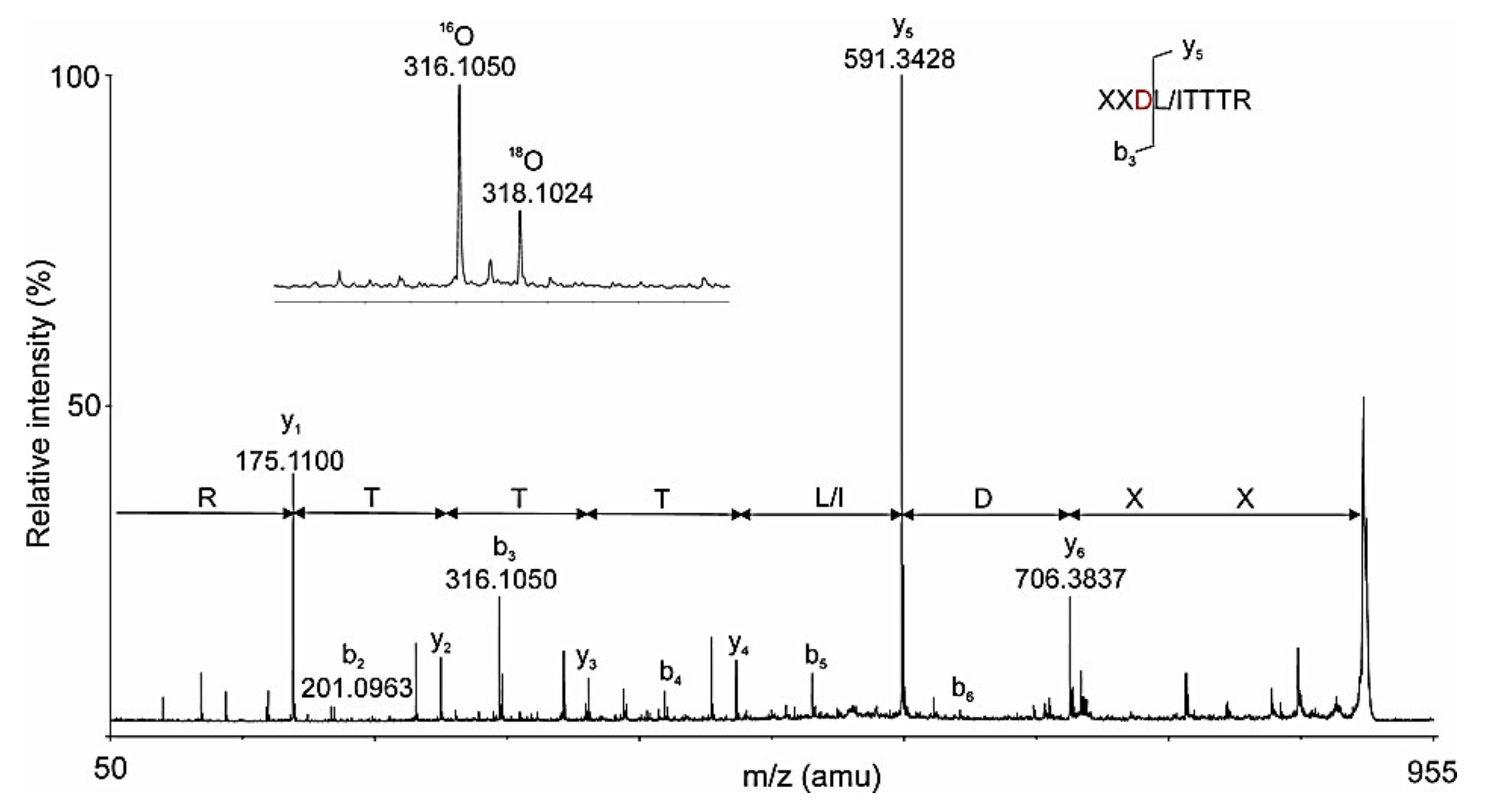 Biomolecules 10 01470 g016