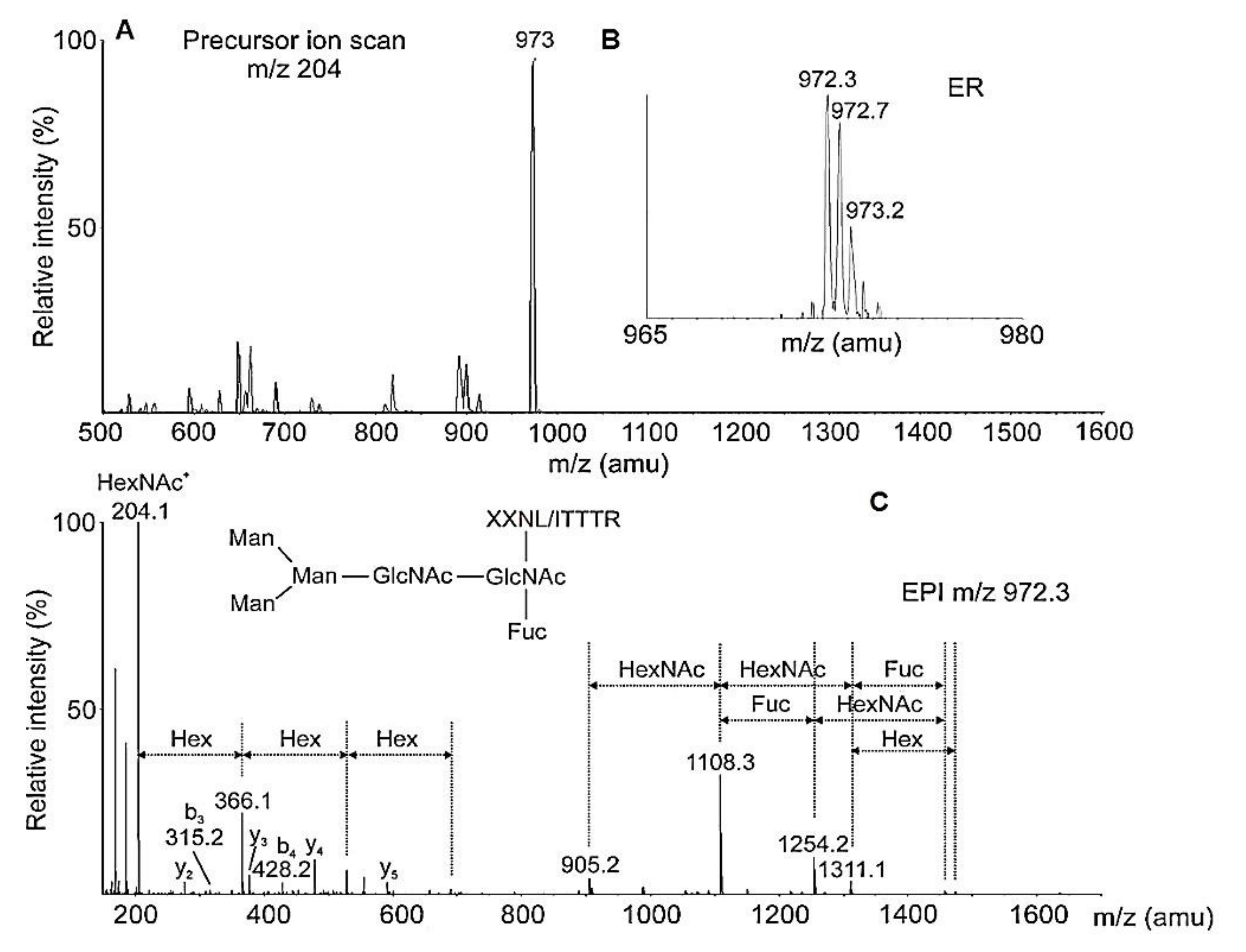 Biomolecules 10 01470 g017