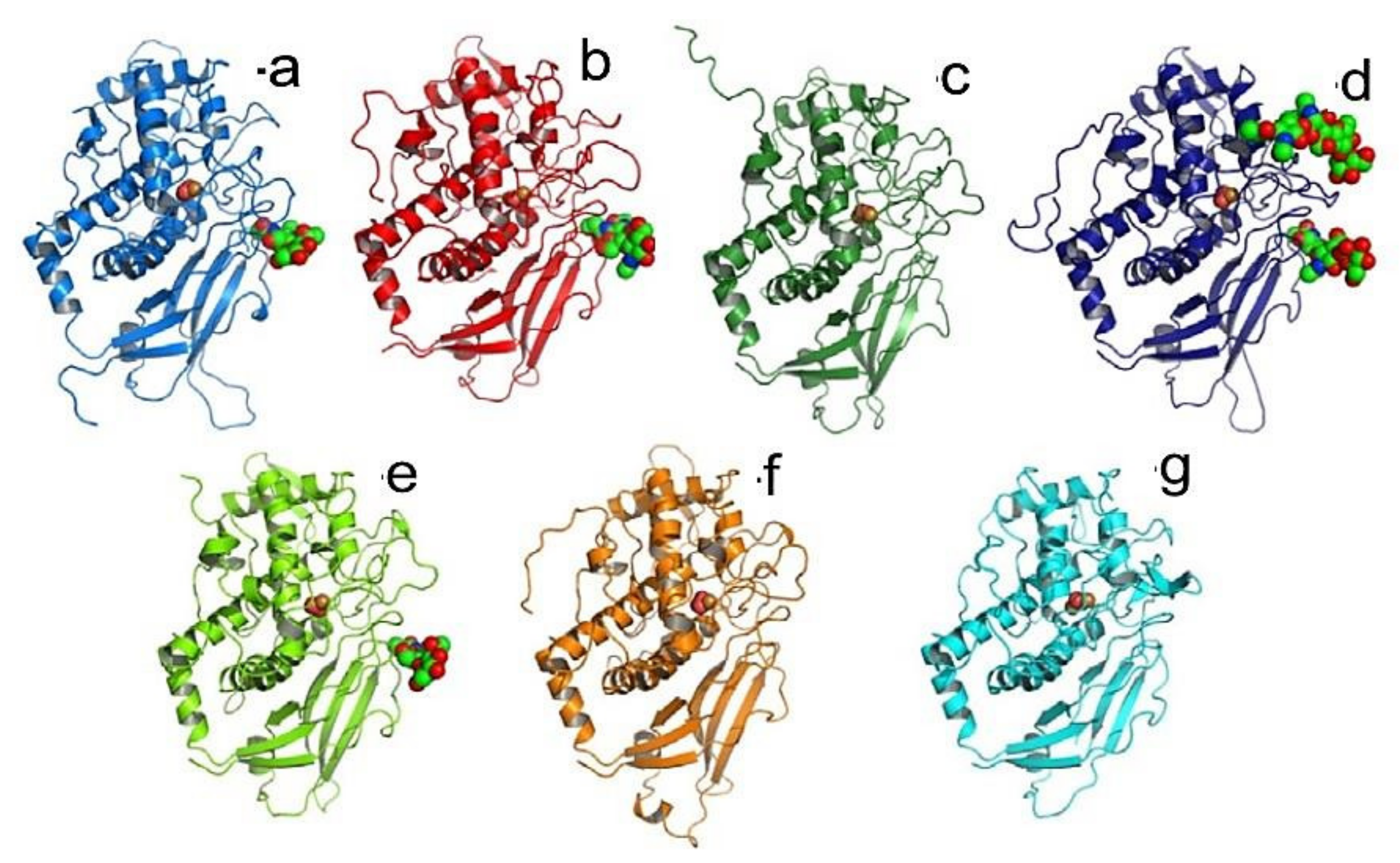 Biomolecules 10 01470 g020