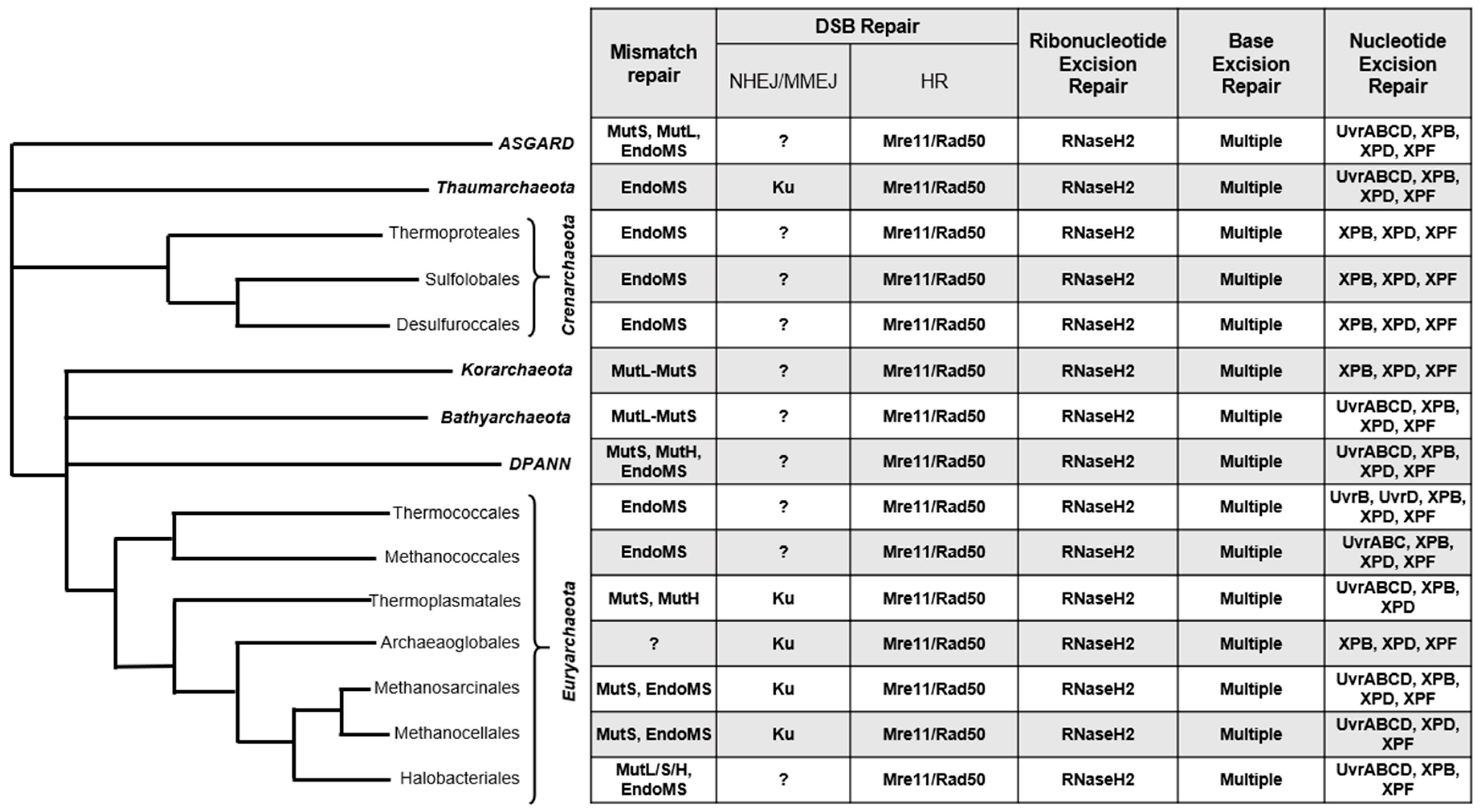 Biomolecules 10 01472 g001