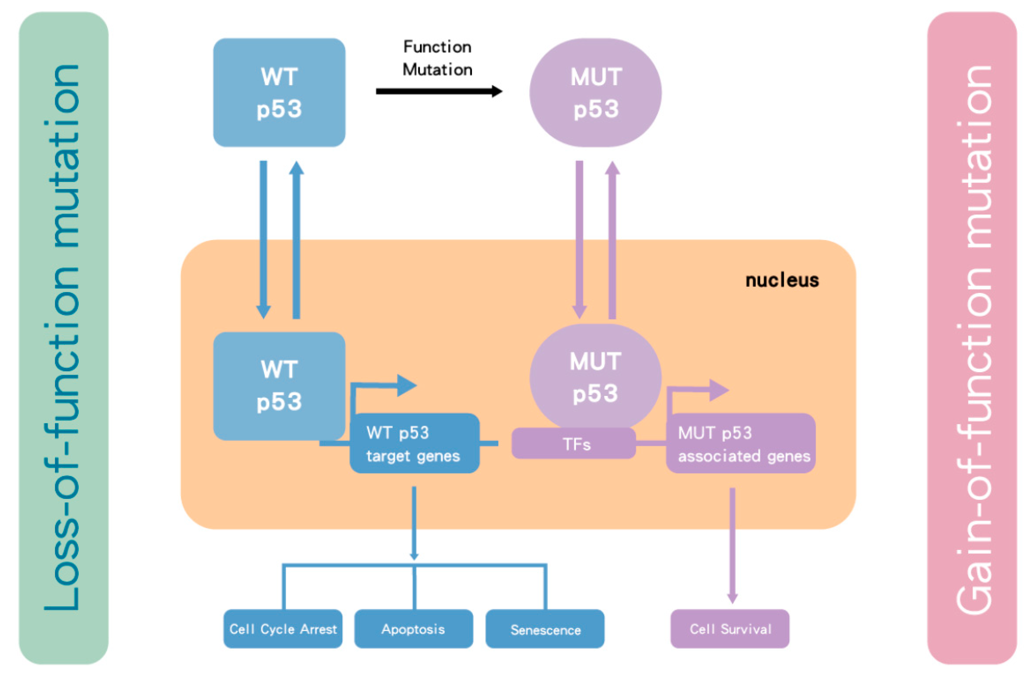 Biomolecules 10 01474 g001 Biomolecules 10 01474 g001