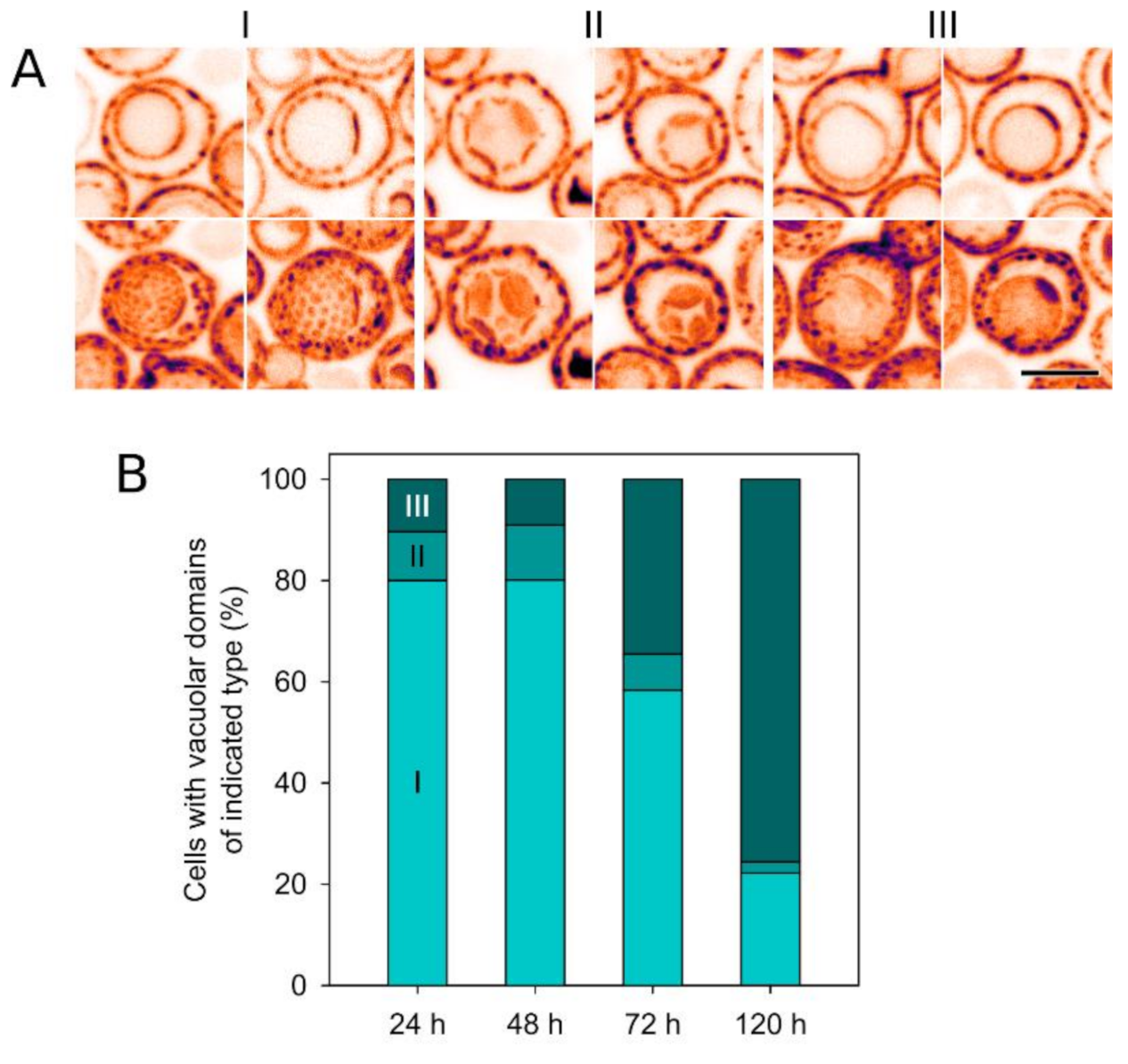 Biomolecules 10 01476 g002 Biomolecules 10 01476 g002