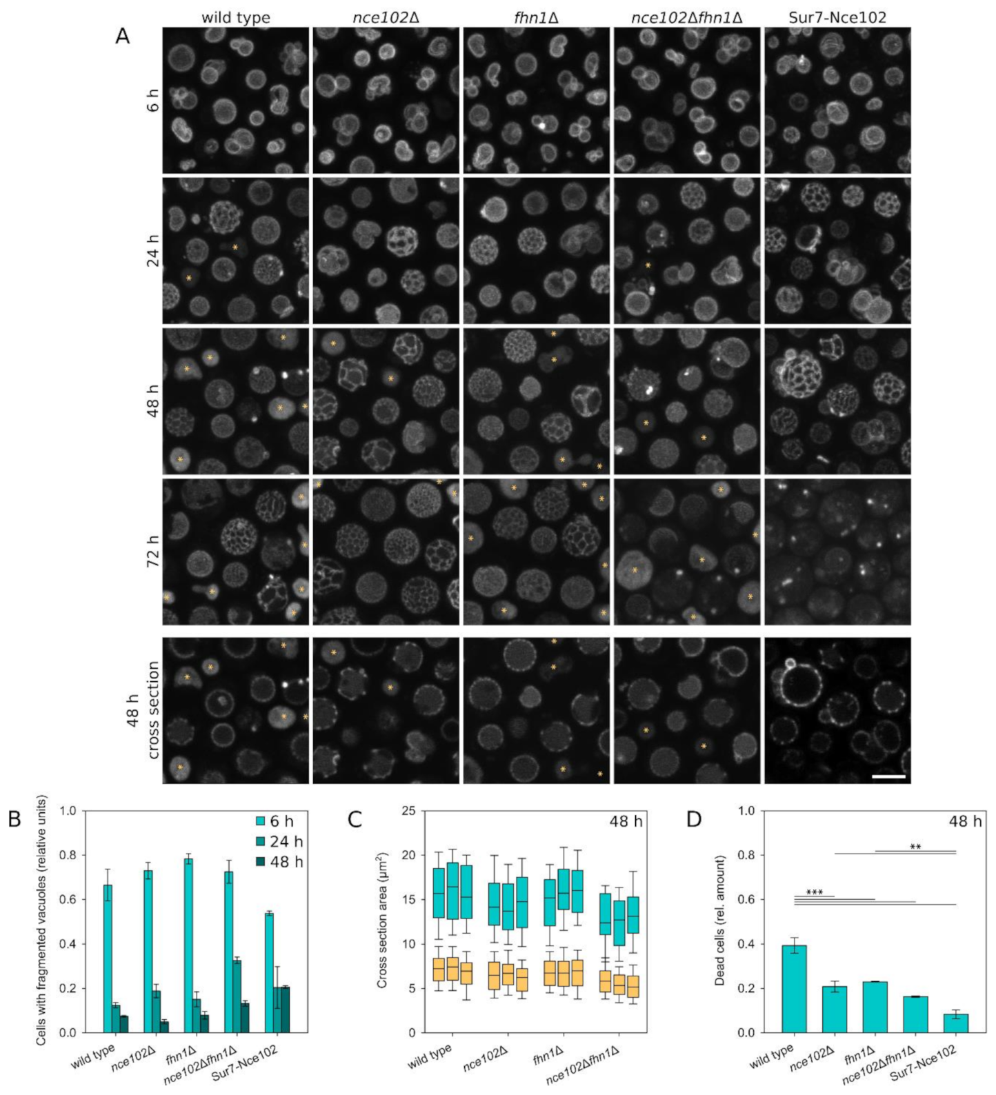 Biomolecules 10 01476 g006 Biomolecules 10 01476 g006