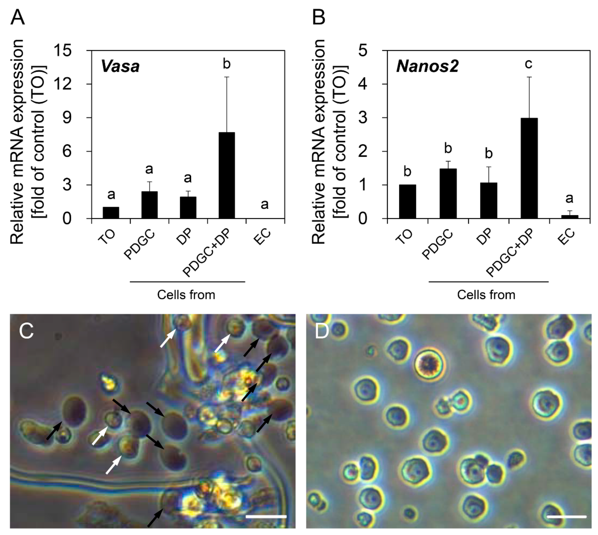 Biomolecules 10 01477 g005