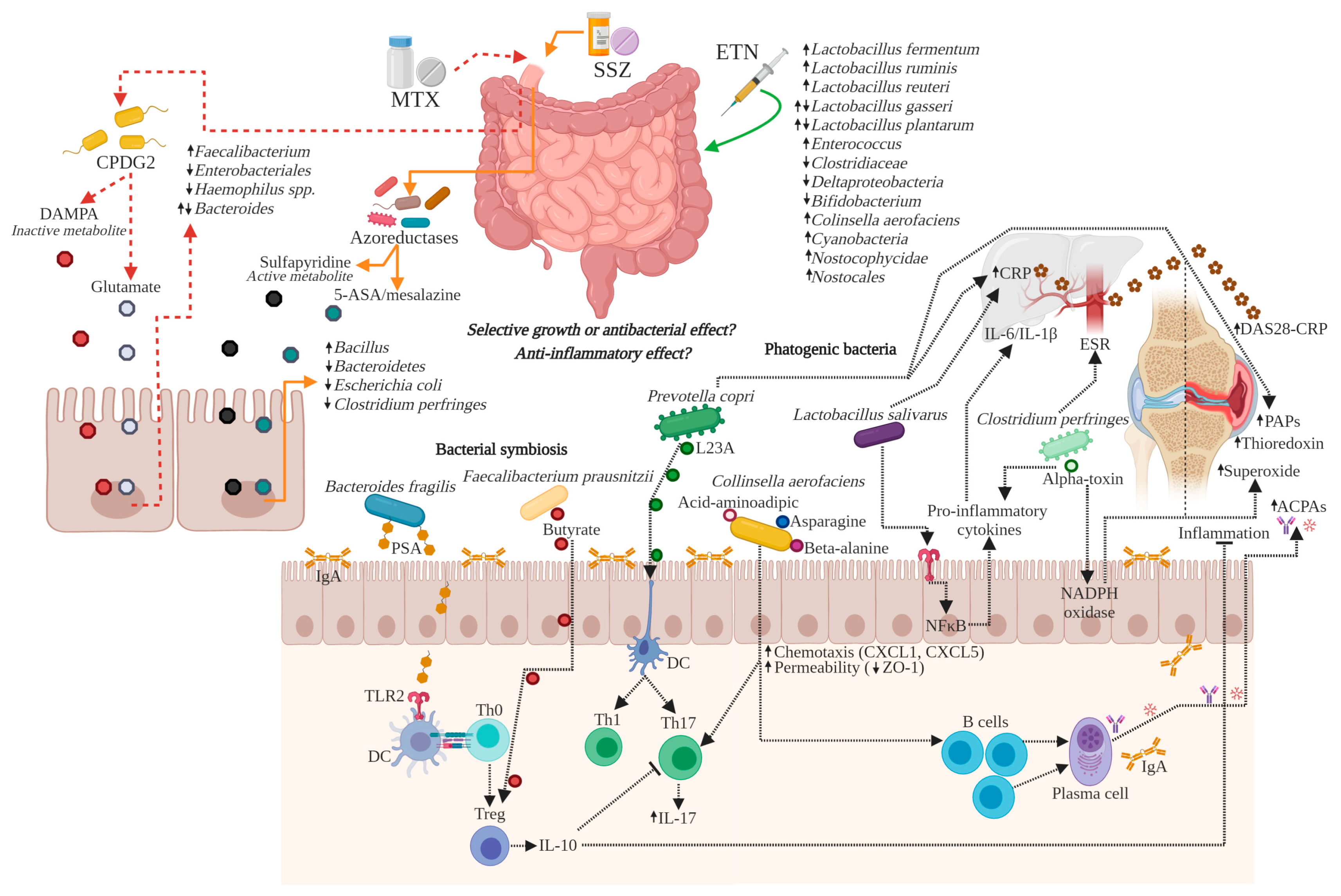Biomolecules 10 01479 g003