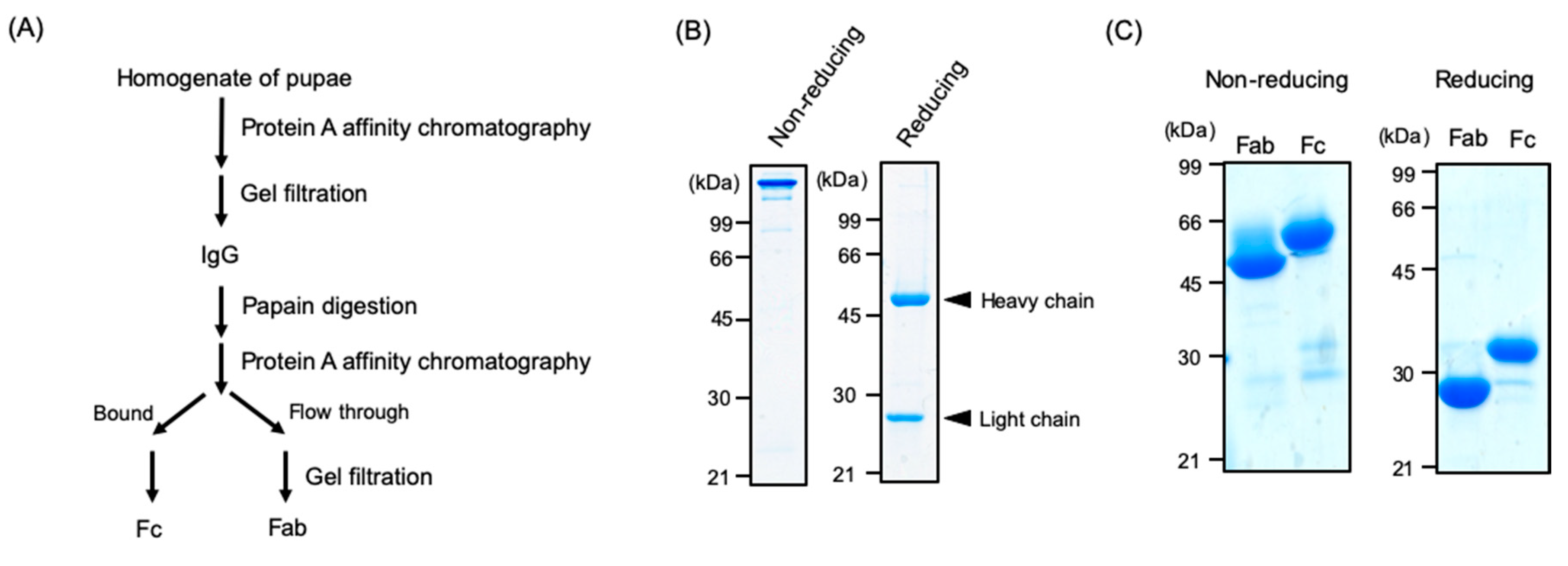 Biomolecules 10 01482 g003