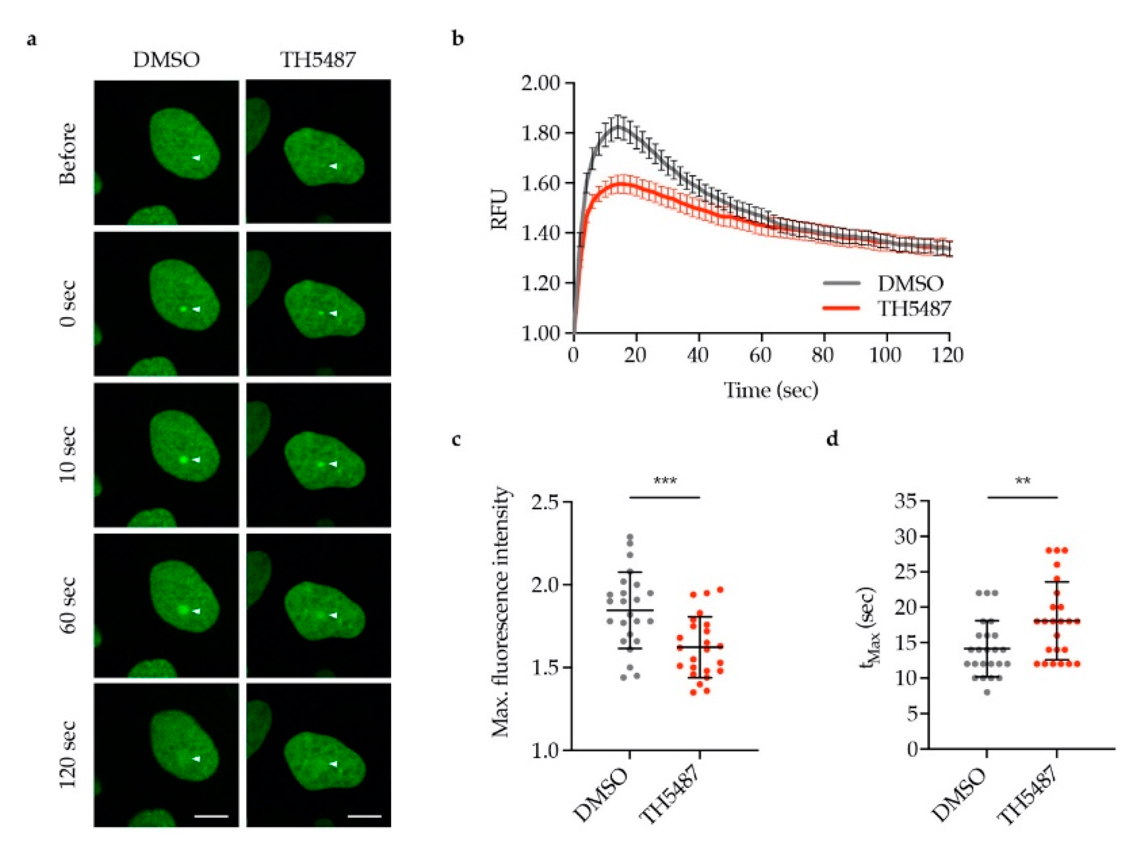 Biomolecules 10 01483 g004 Biomolecules 10 01483 g004