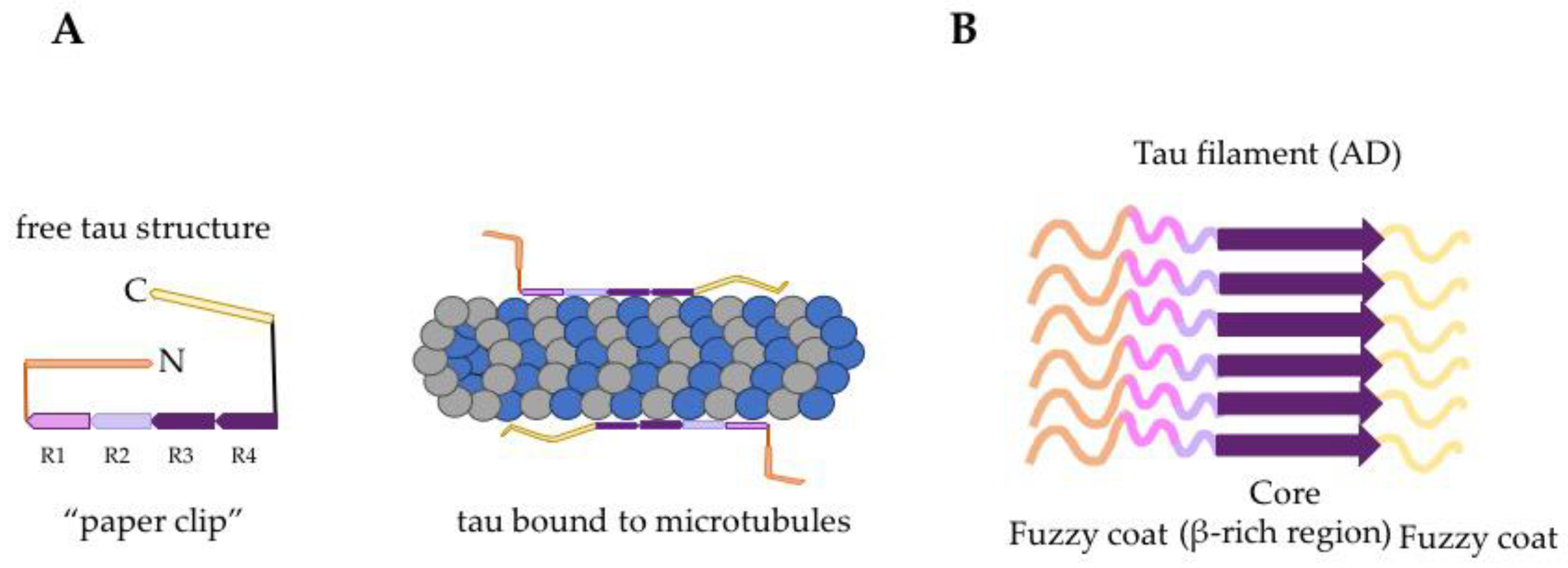 Biomolecules 10 01487 g002 Biomolecules 10 01487 g002