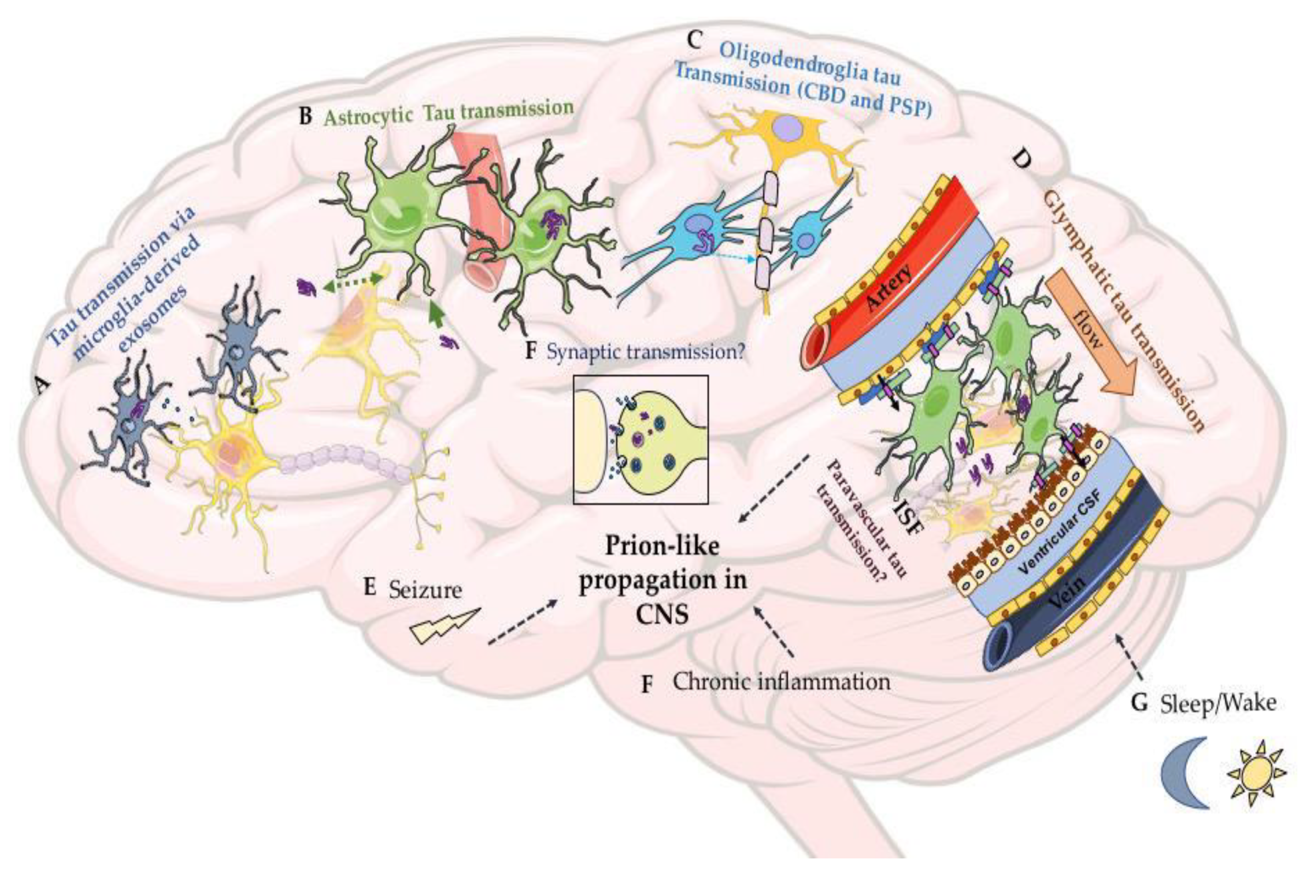 Biomolecules 10 01487 g004 Biomolecules 10 01487 g004
